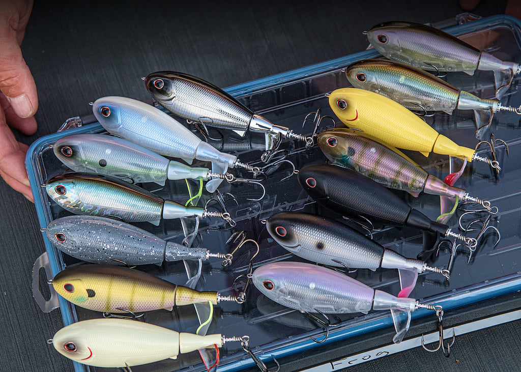 Assorted fishing lures on a tray with a hand holding the tray.