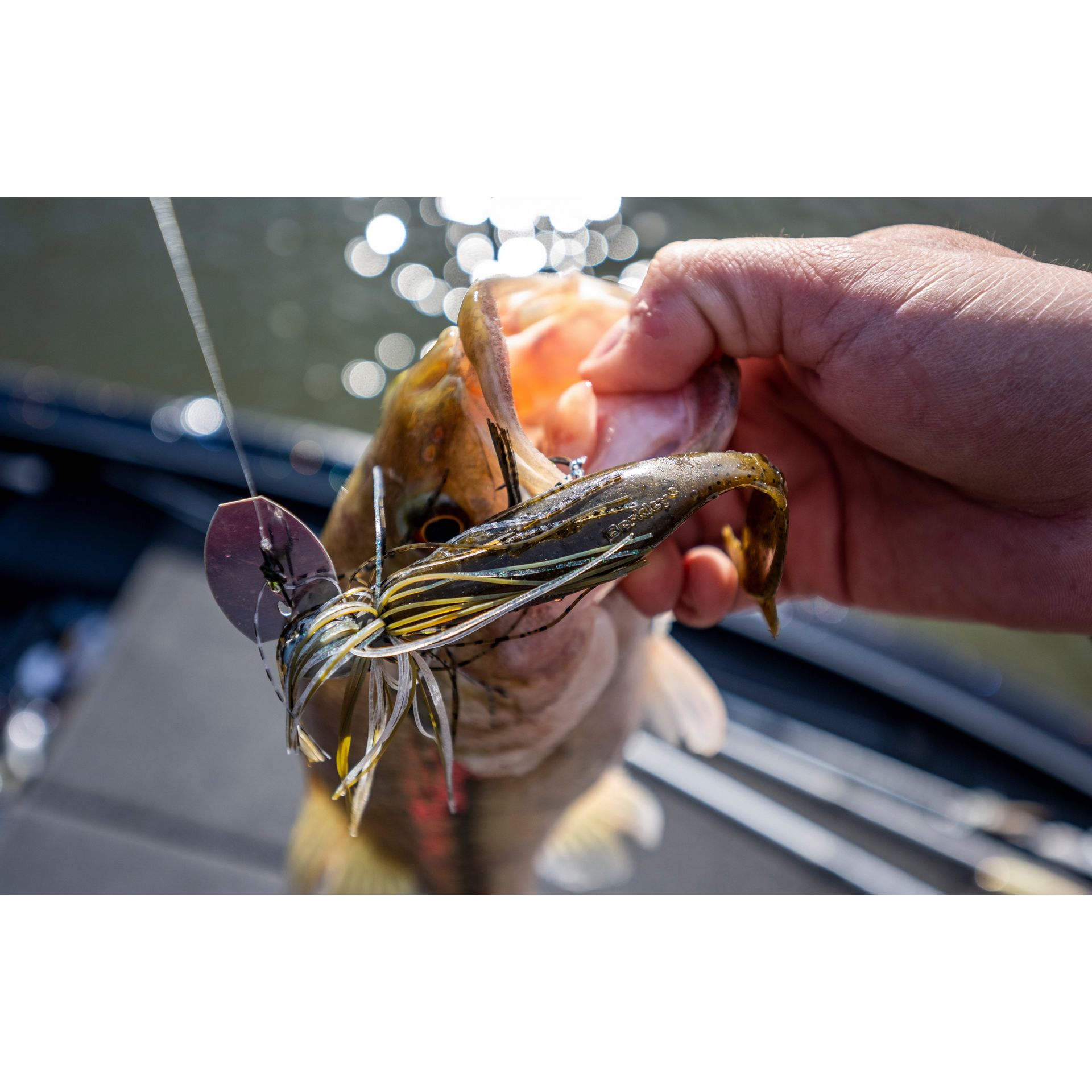 PowerBait® The Deal