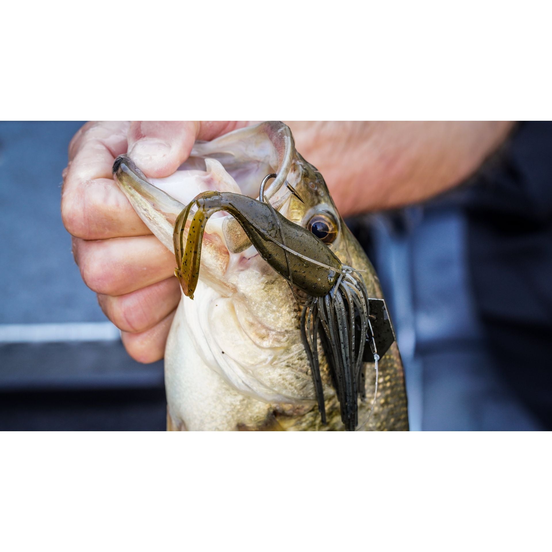 PowerBait® The Deal