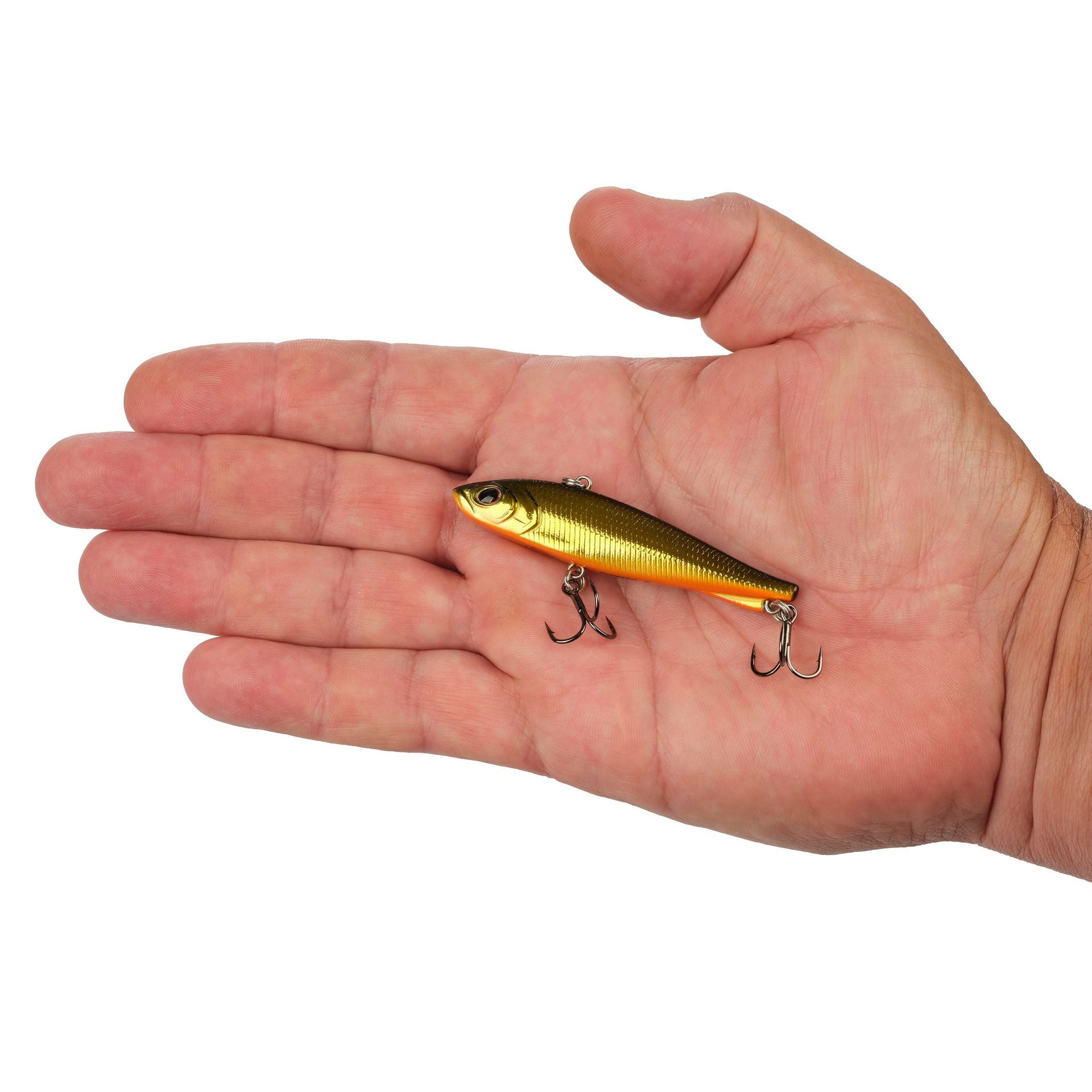 Ripfish