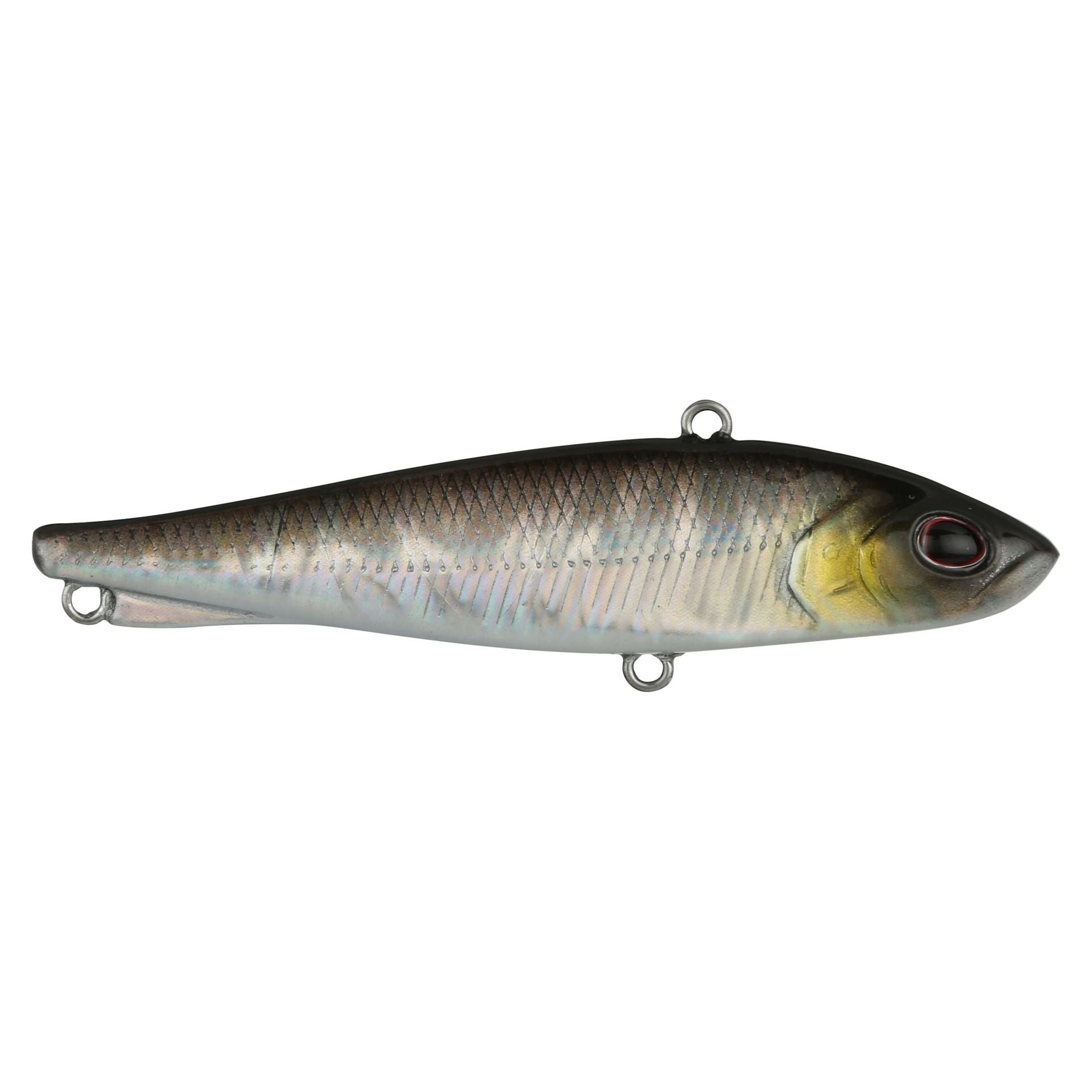 Ripfish