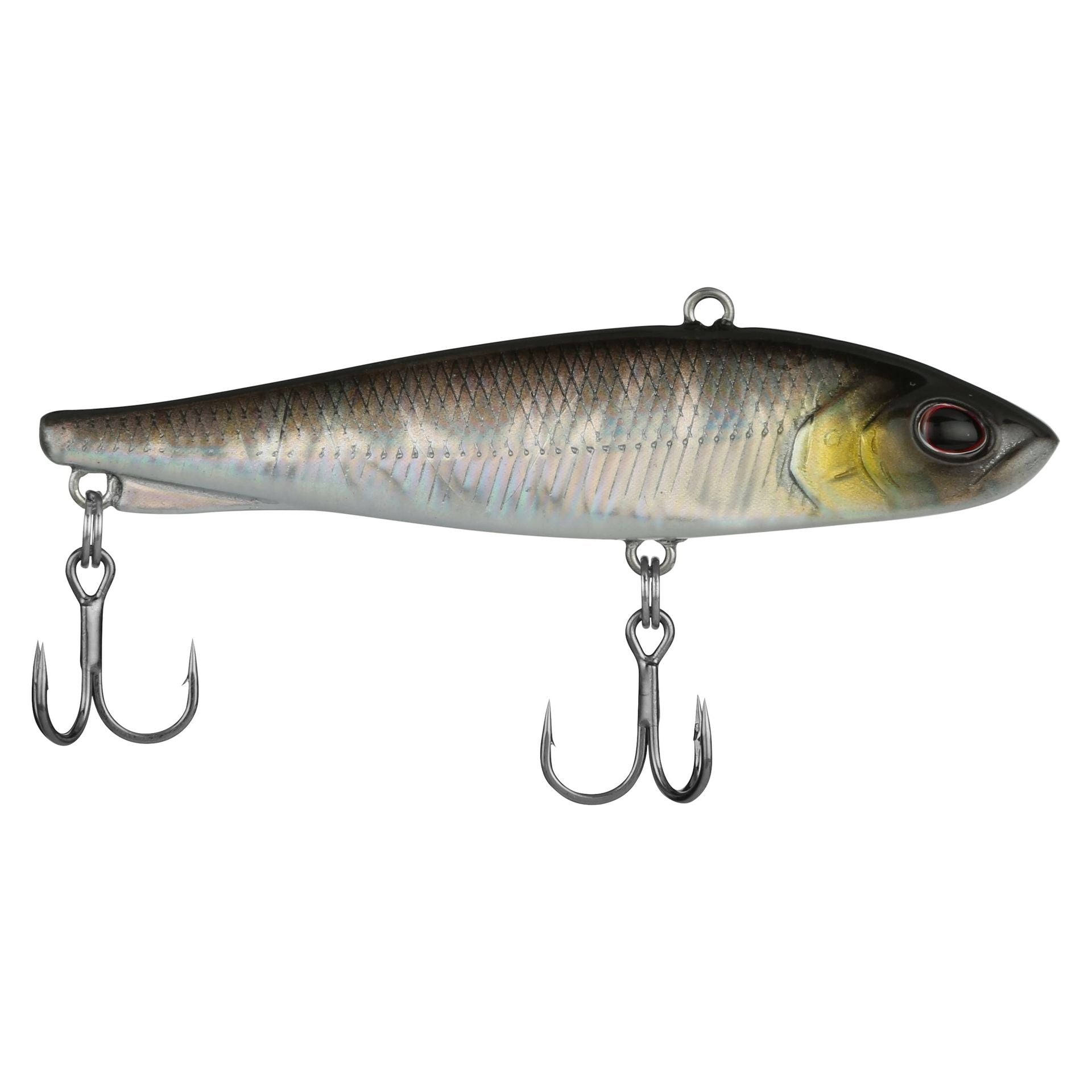 Ripfish