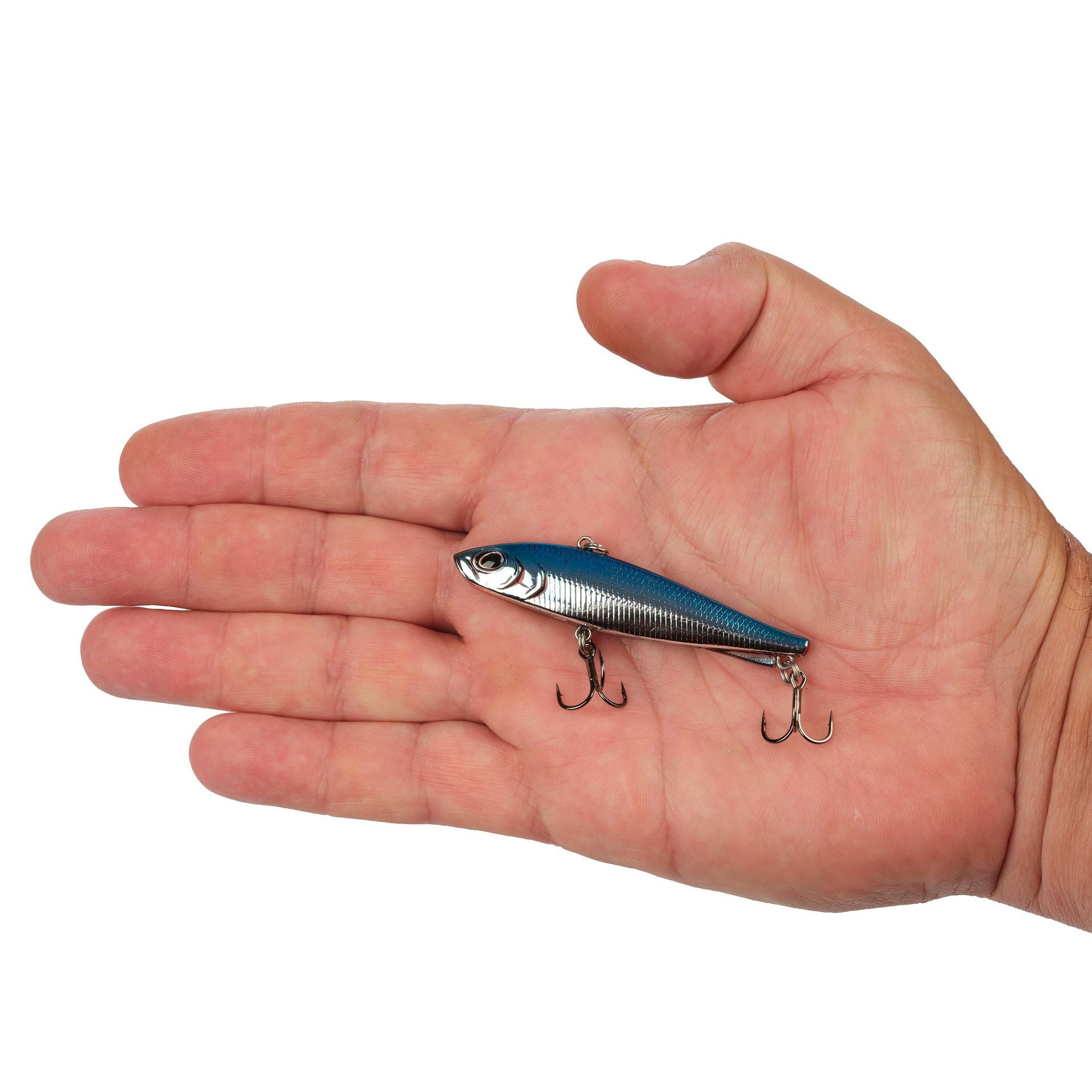 Ripfish