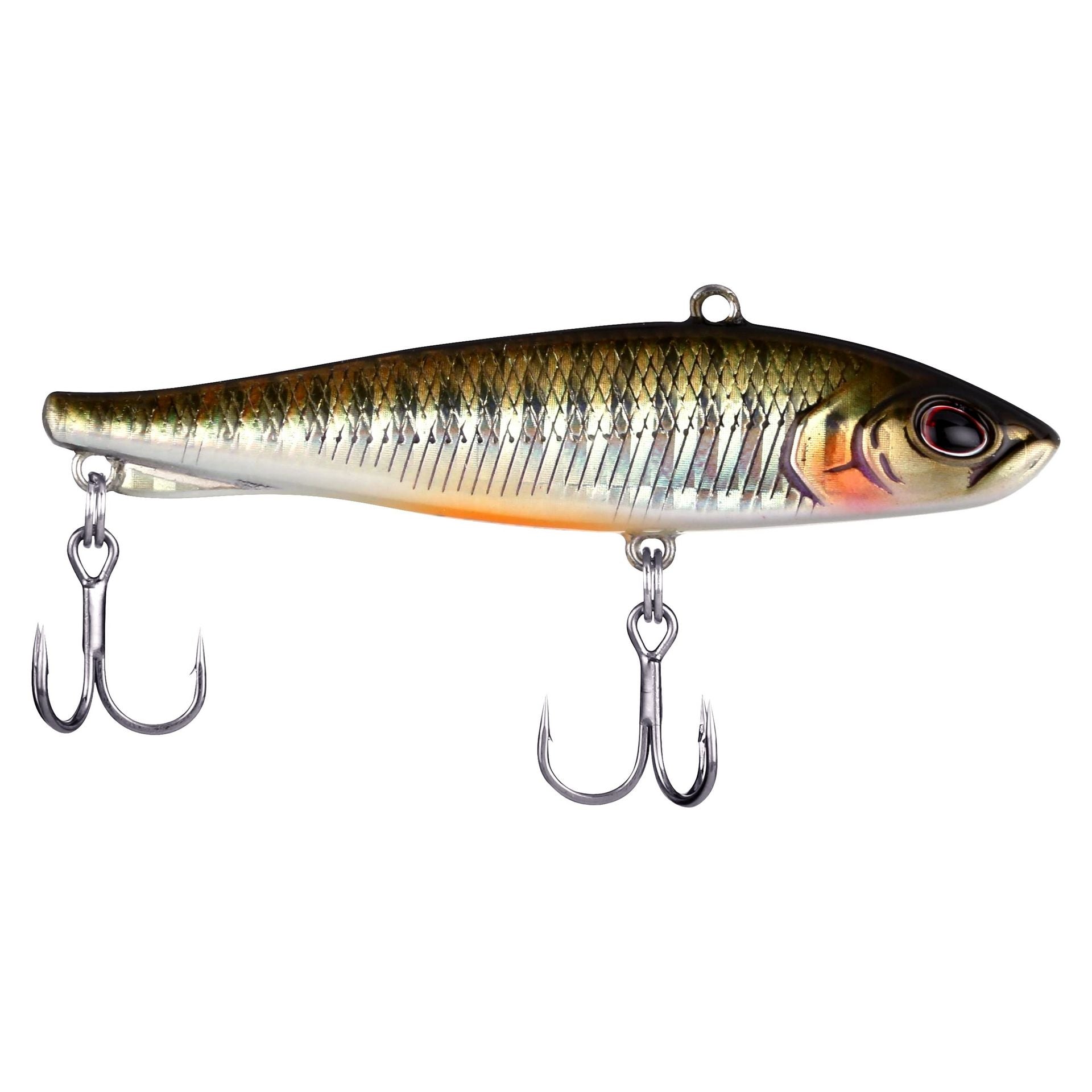 Ripfish