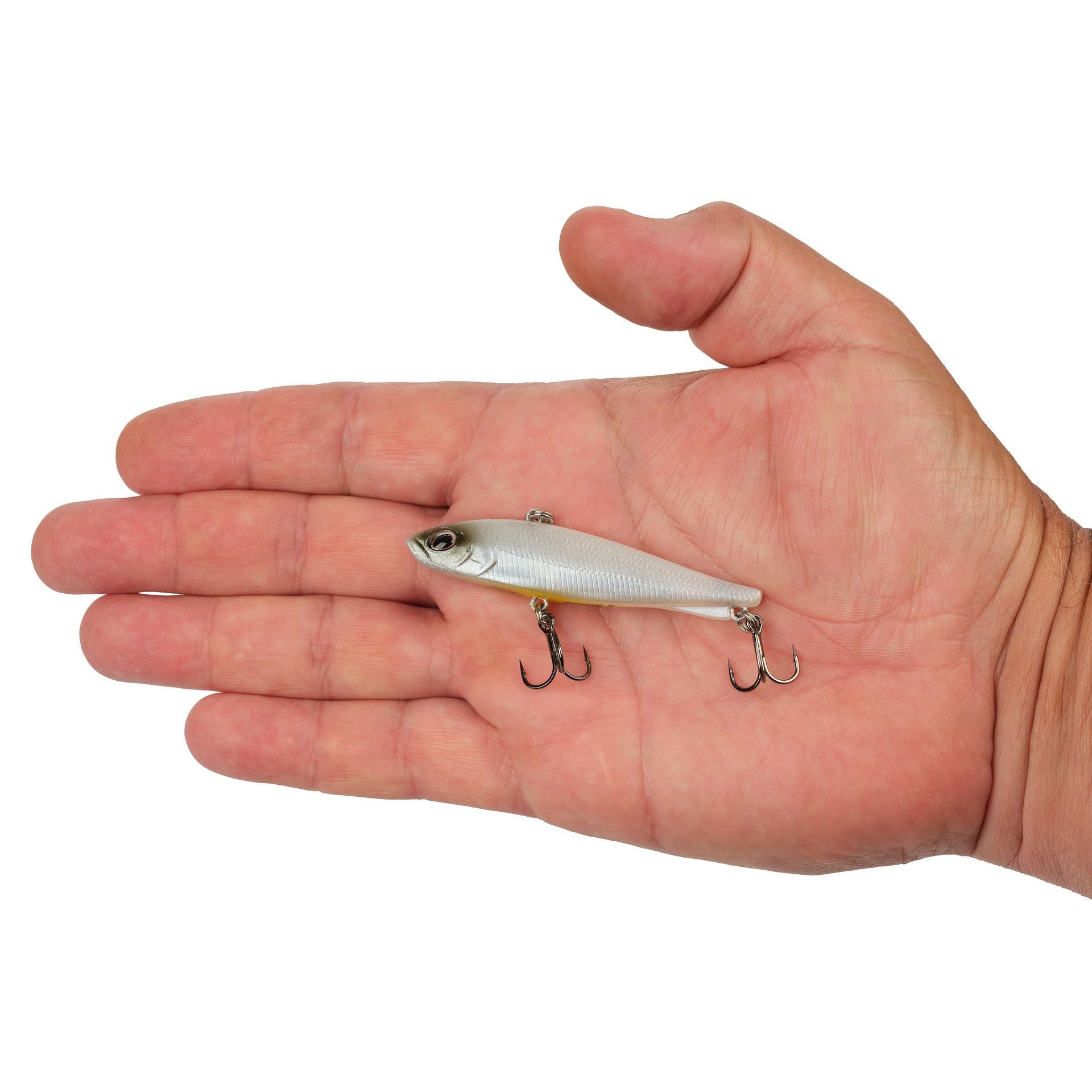 Ripfish