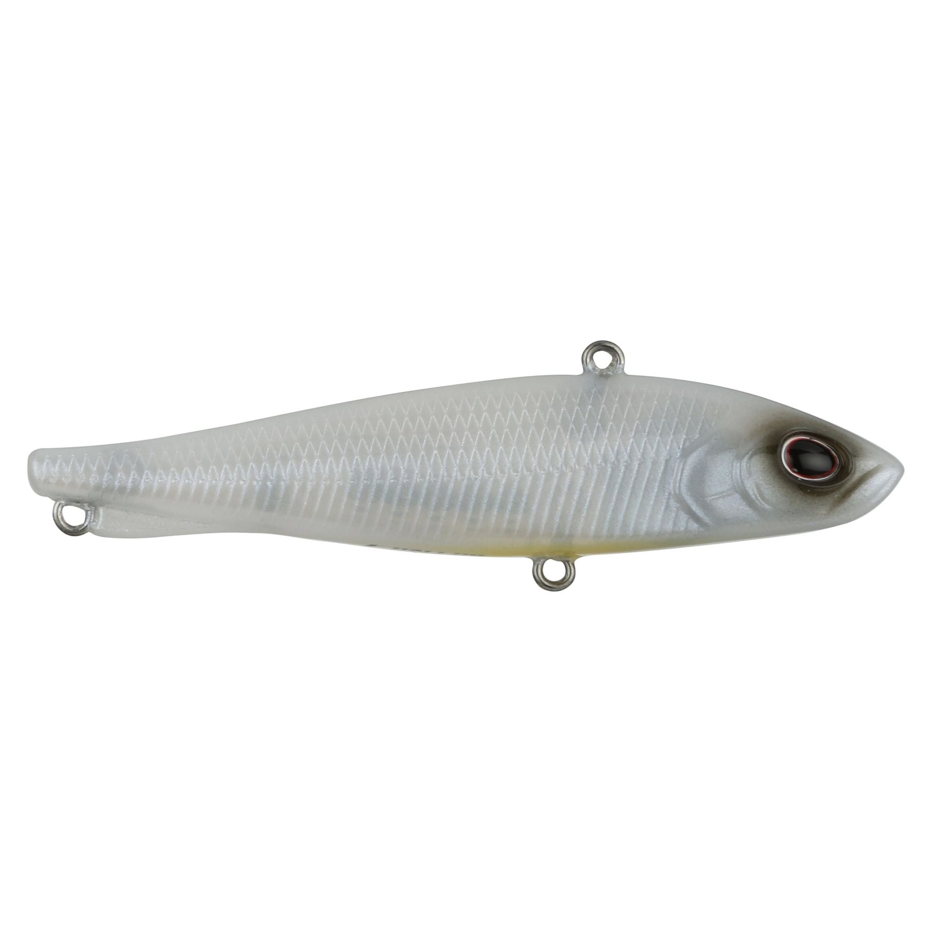 Ripfish