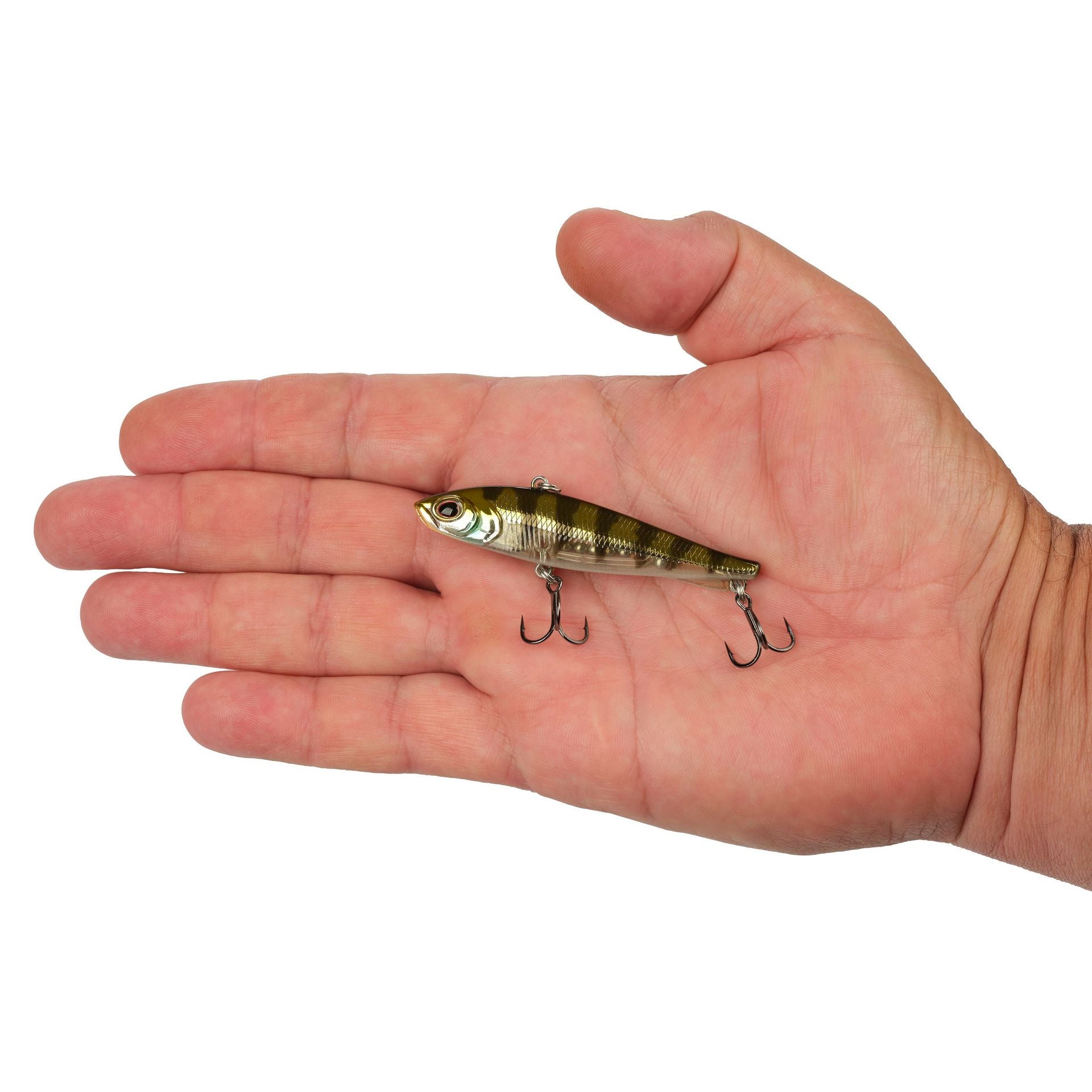 Ripfish