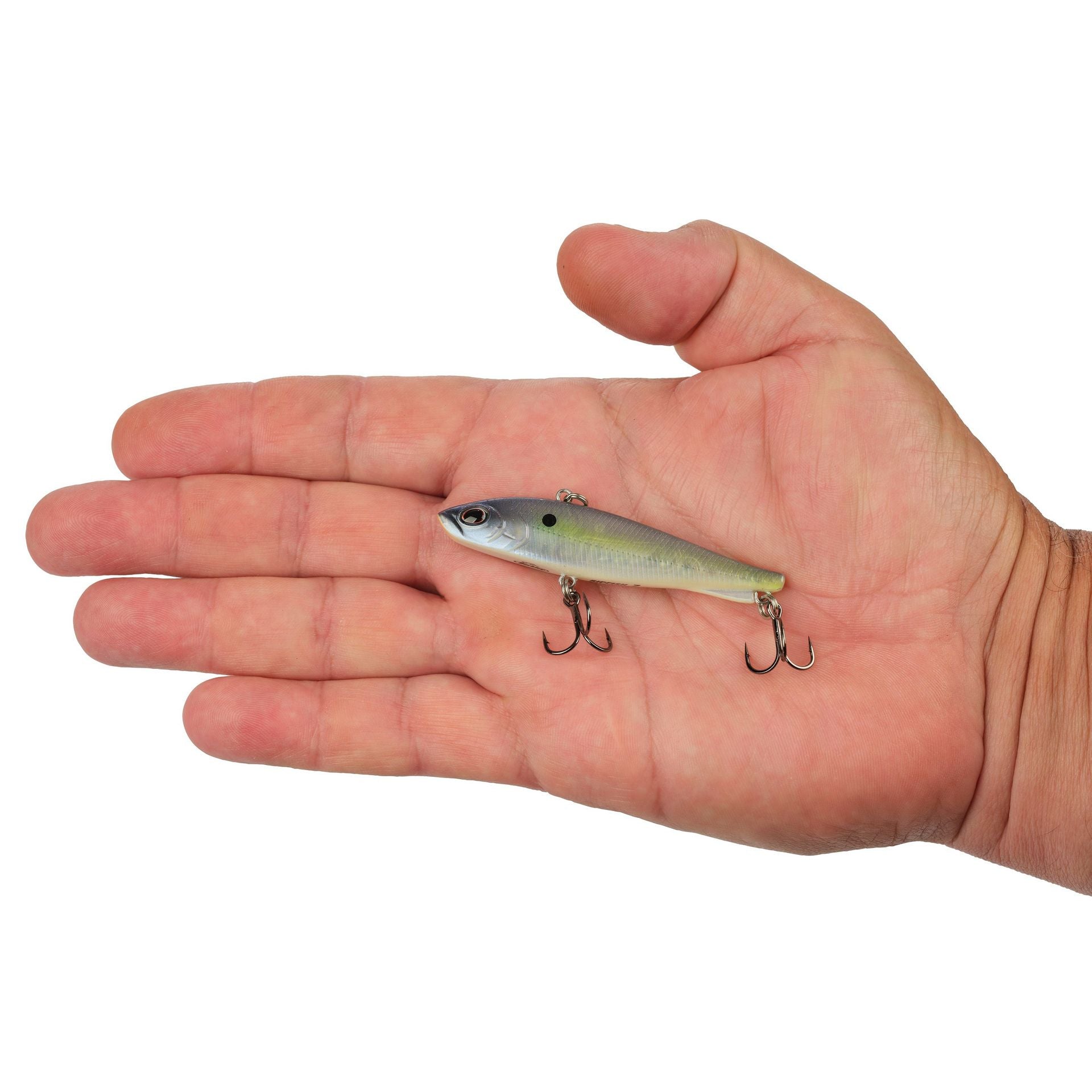 Ripfish