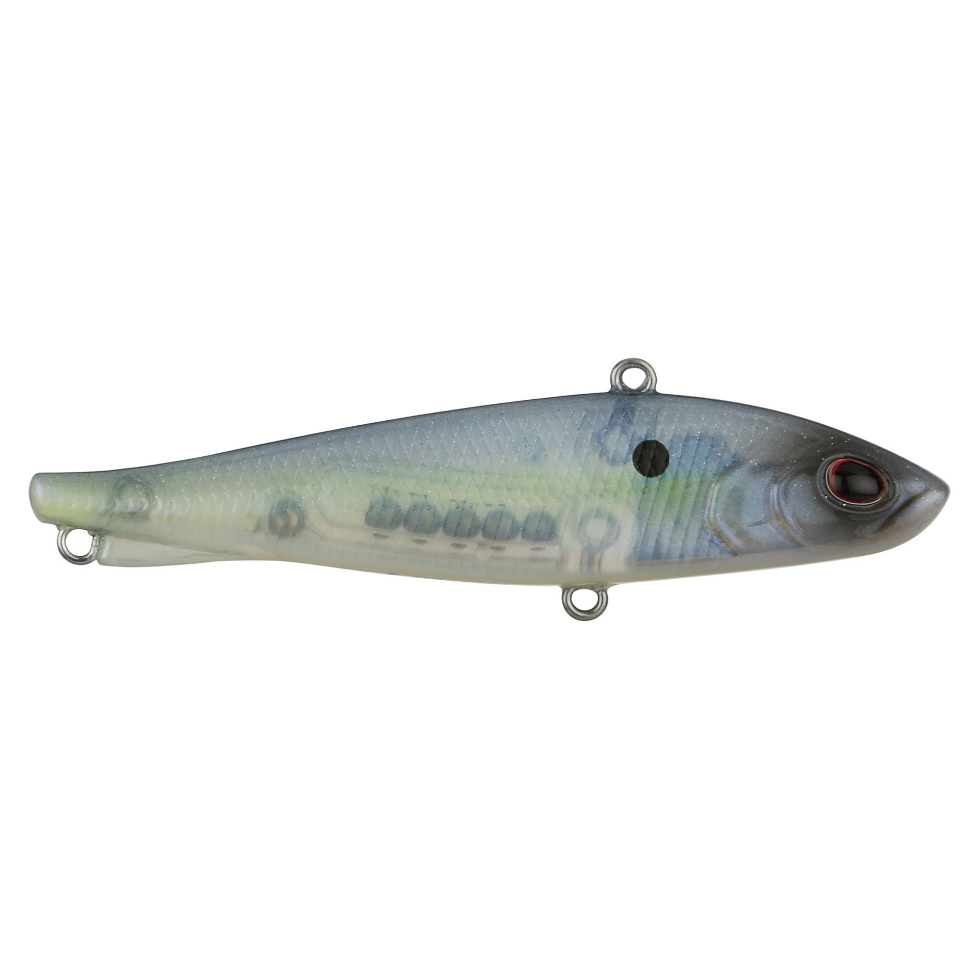 Ripfish