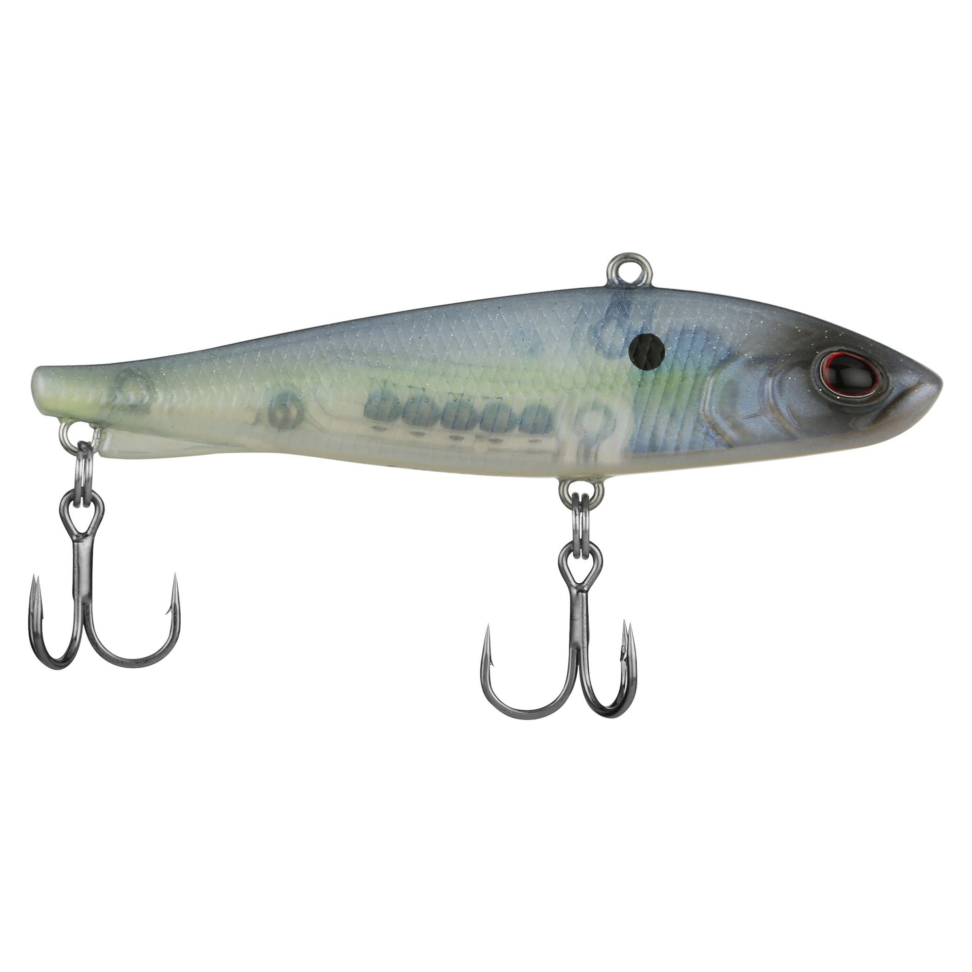 Ripfish