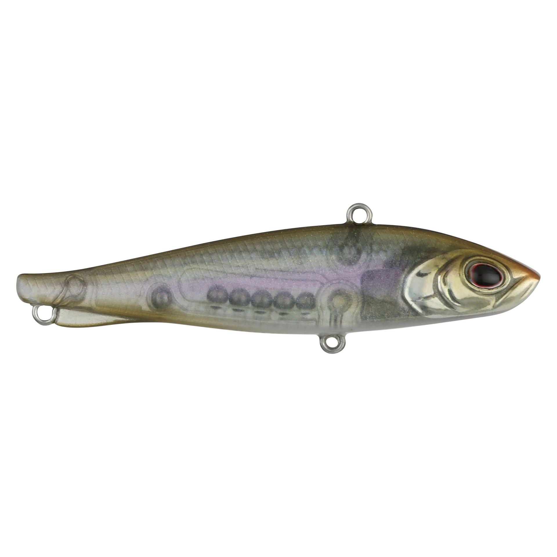 Ripfish