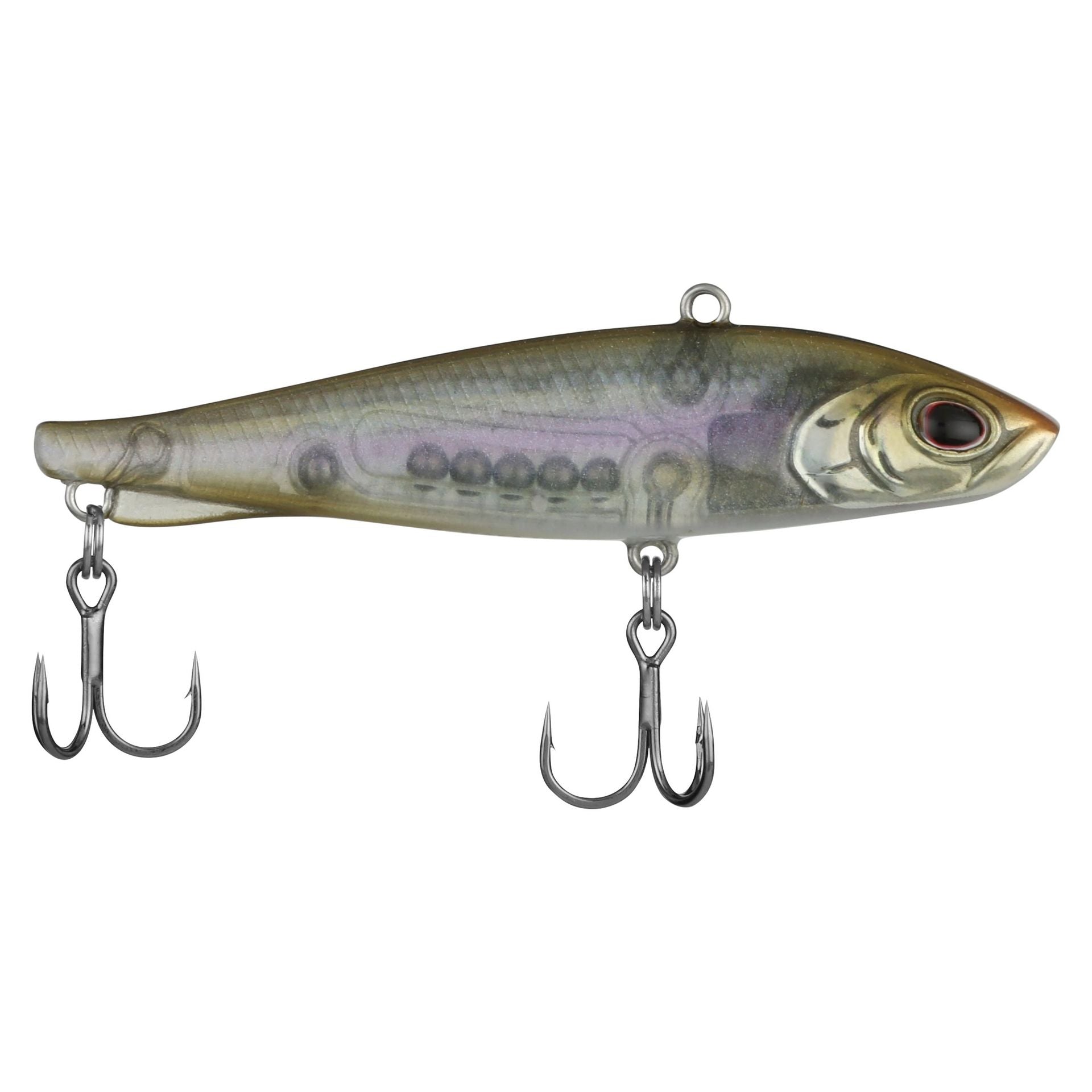 Ripfish