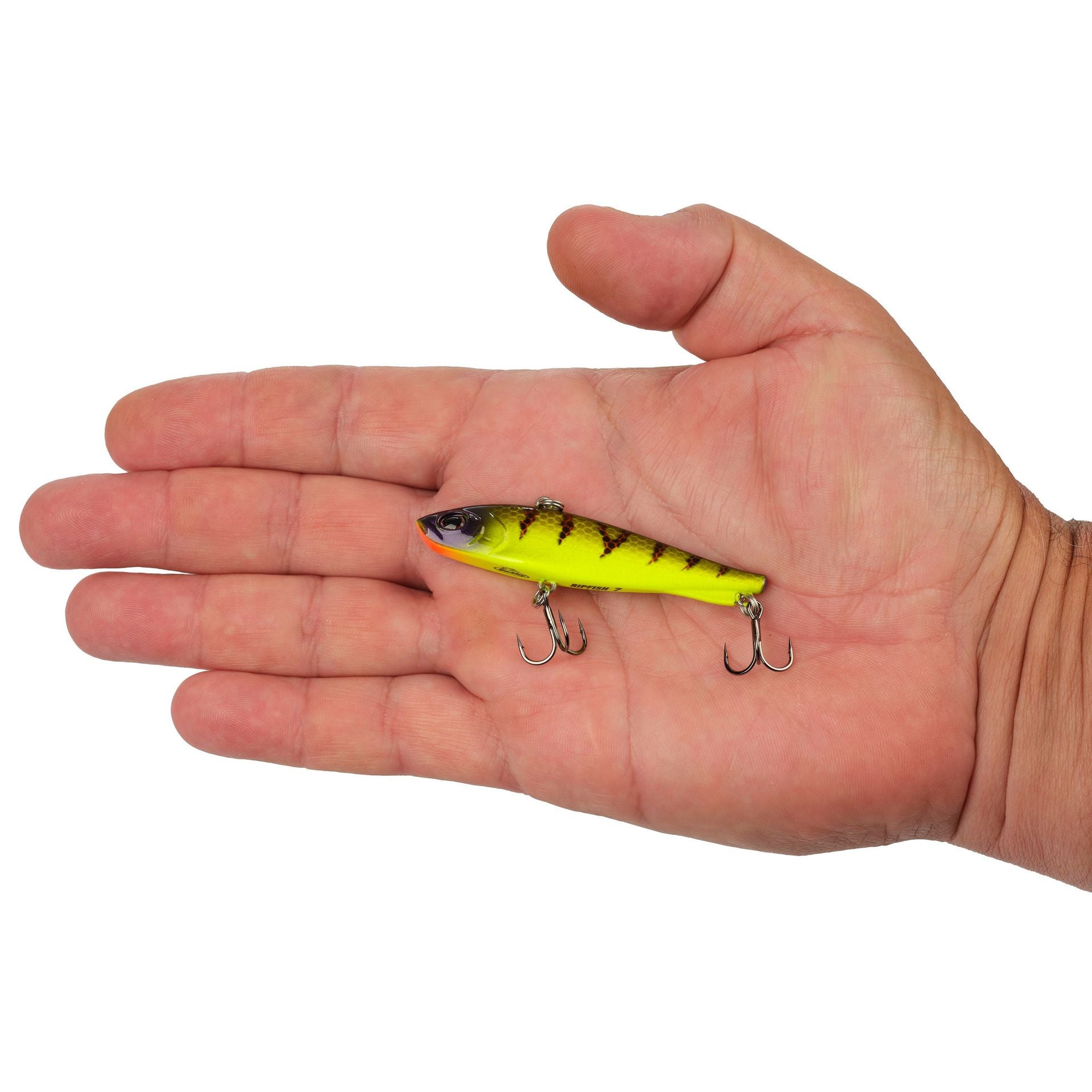 Ripfish