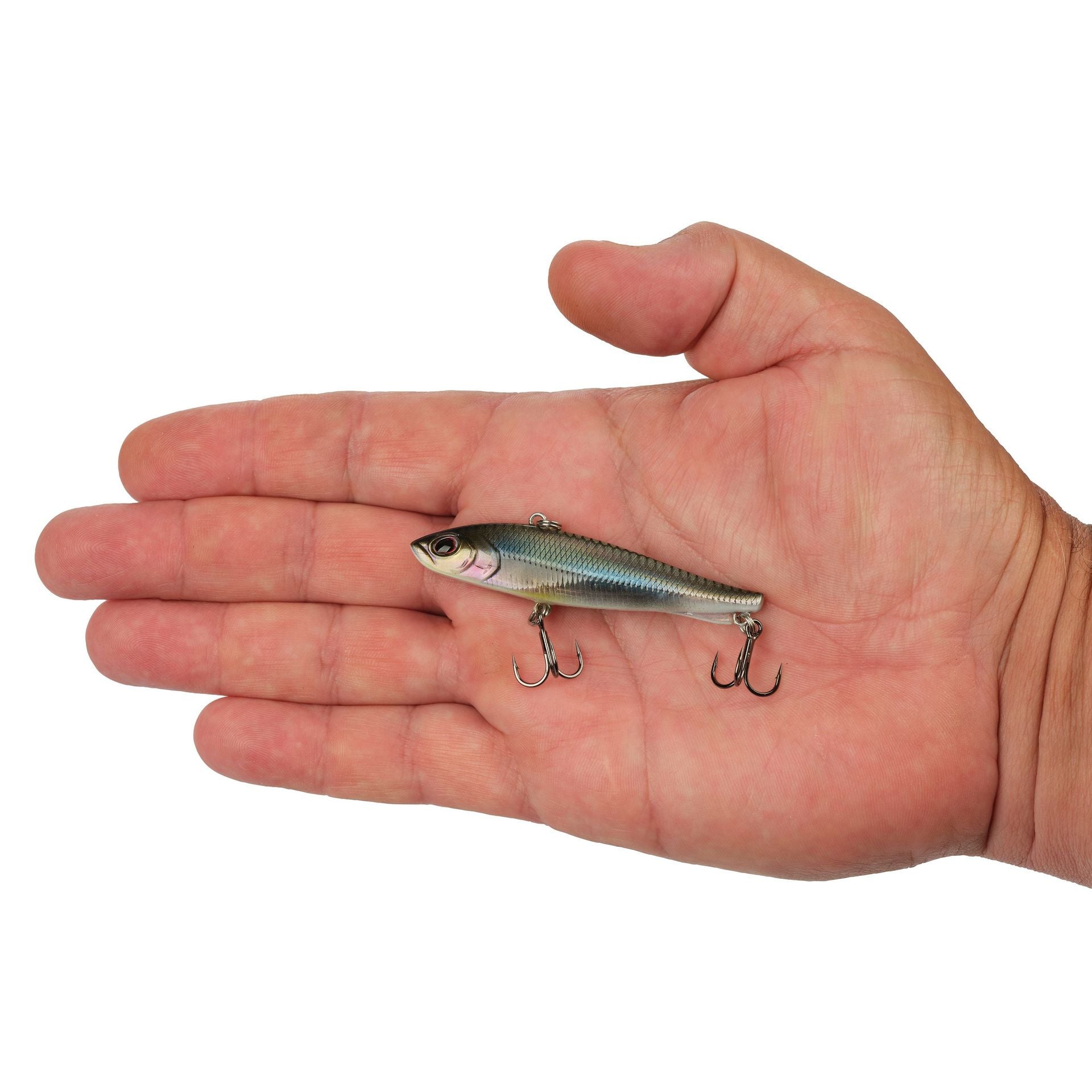 Ripfish