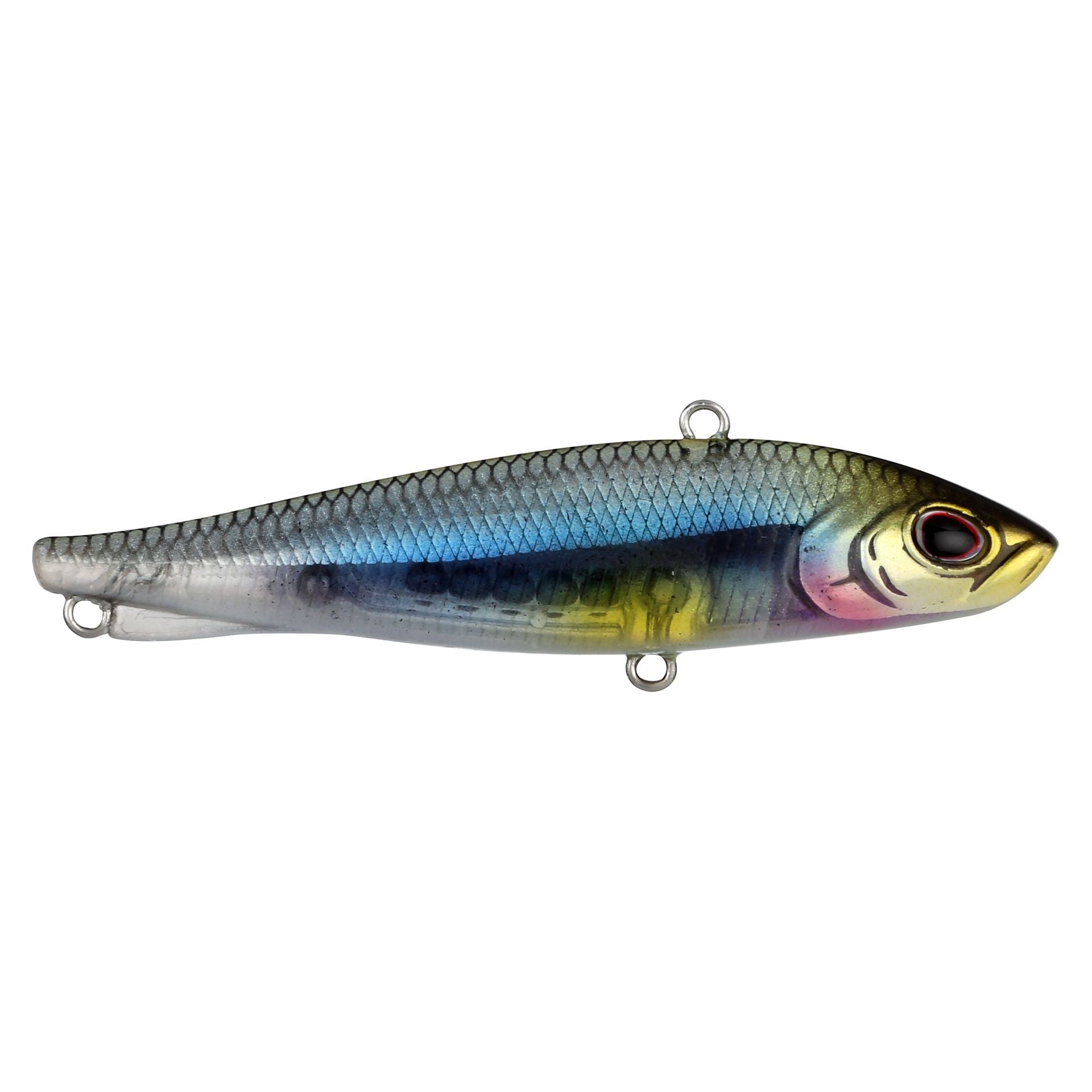 Ripfish