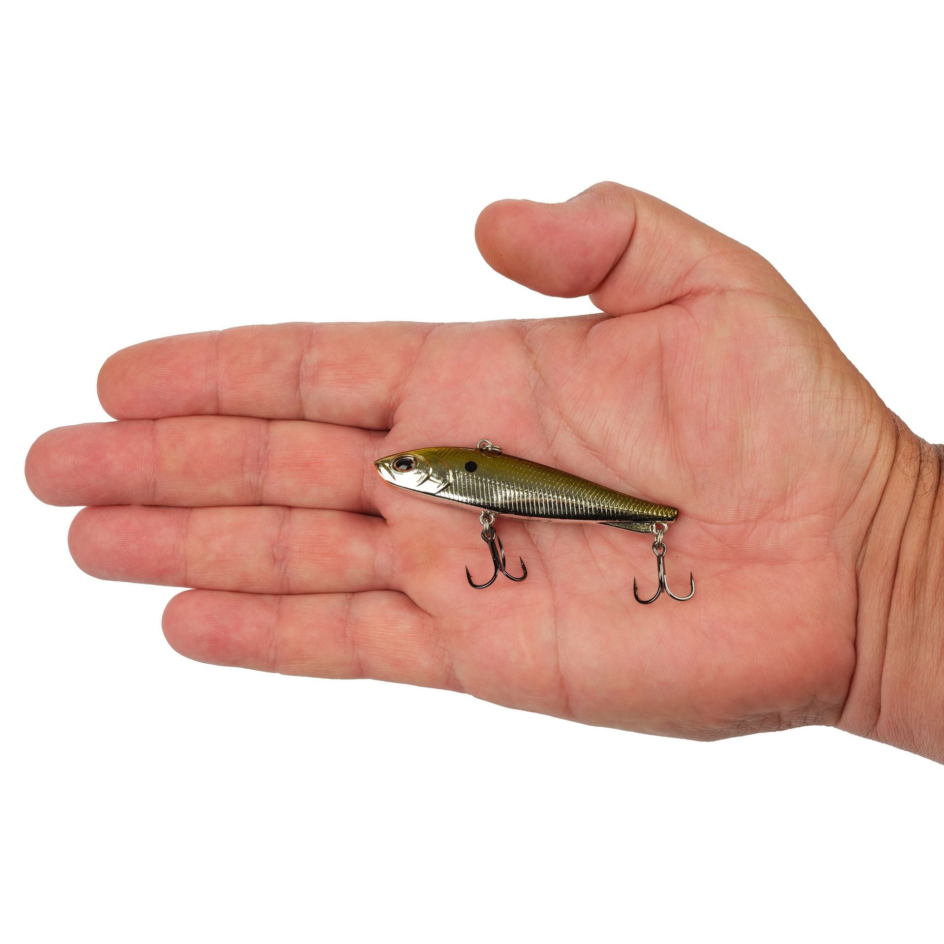 Ripfish