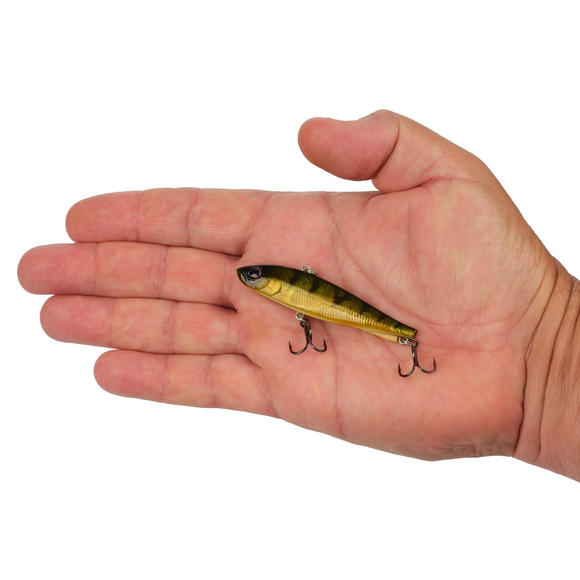 Ripfish