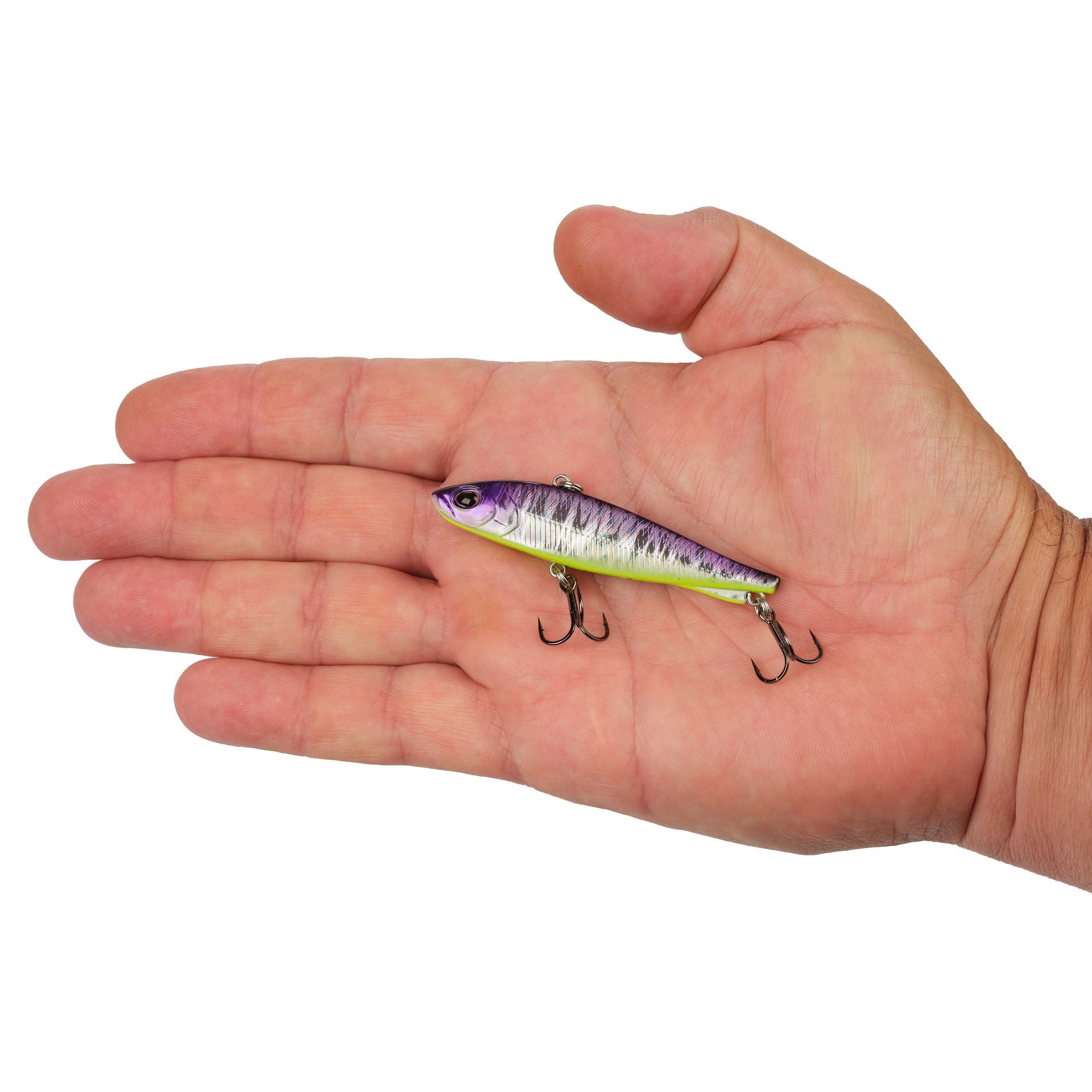 Ripfish