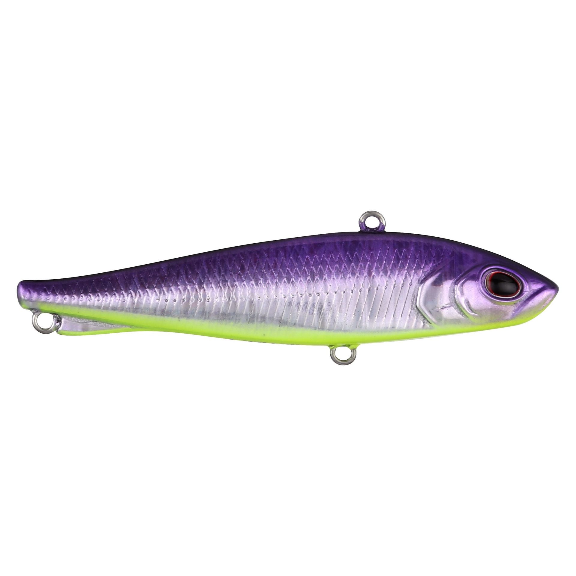Ripfish