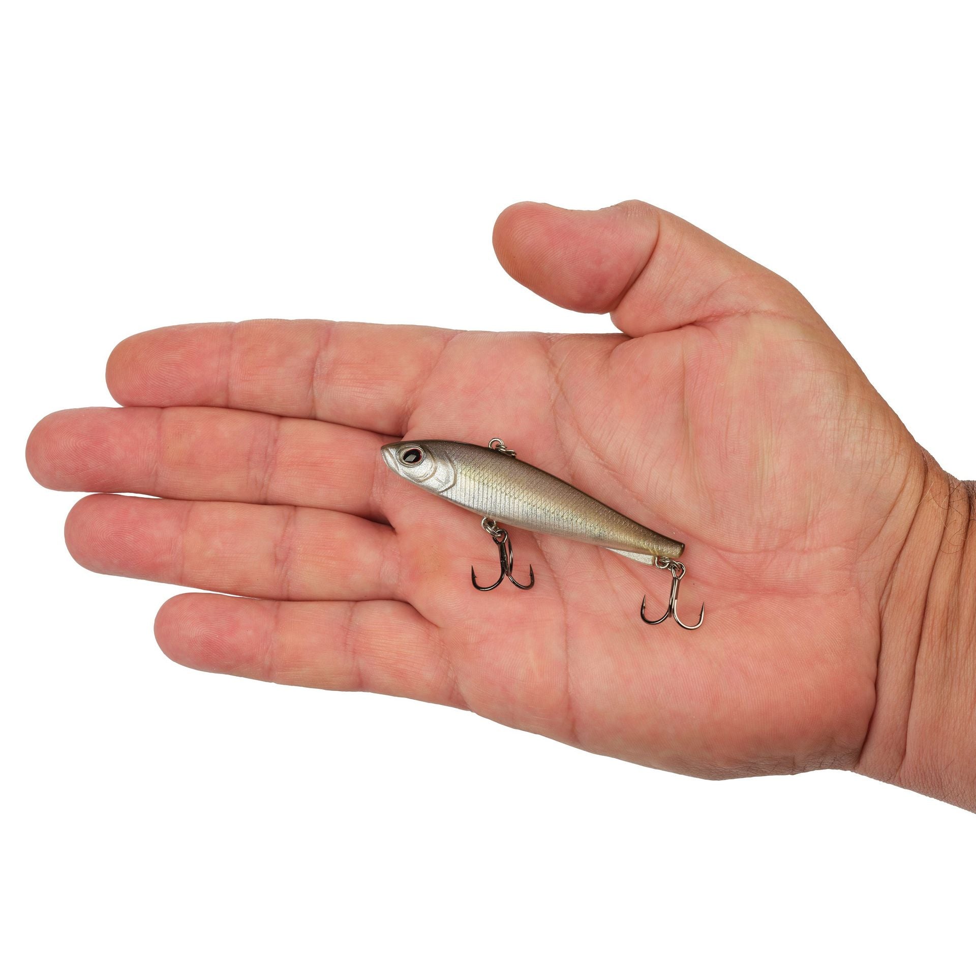 Ripfish