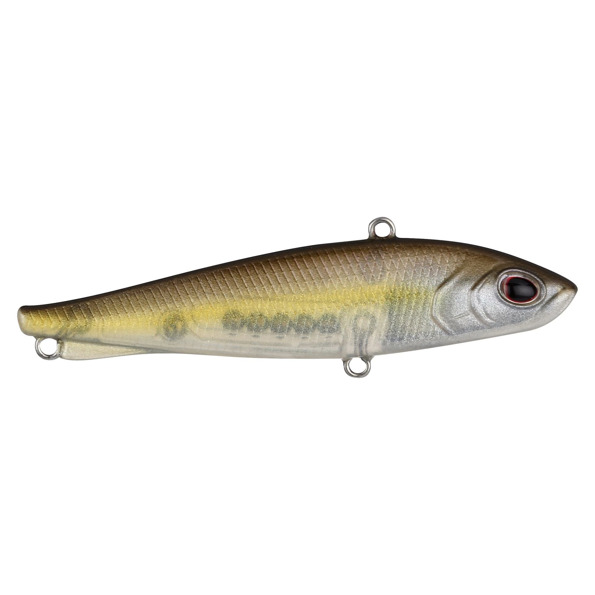 Ripfish