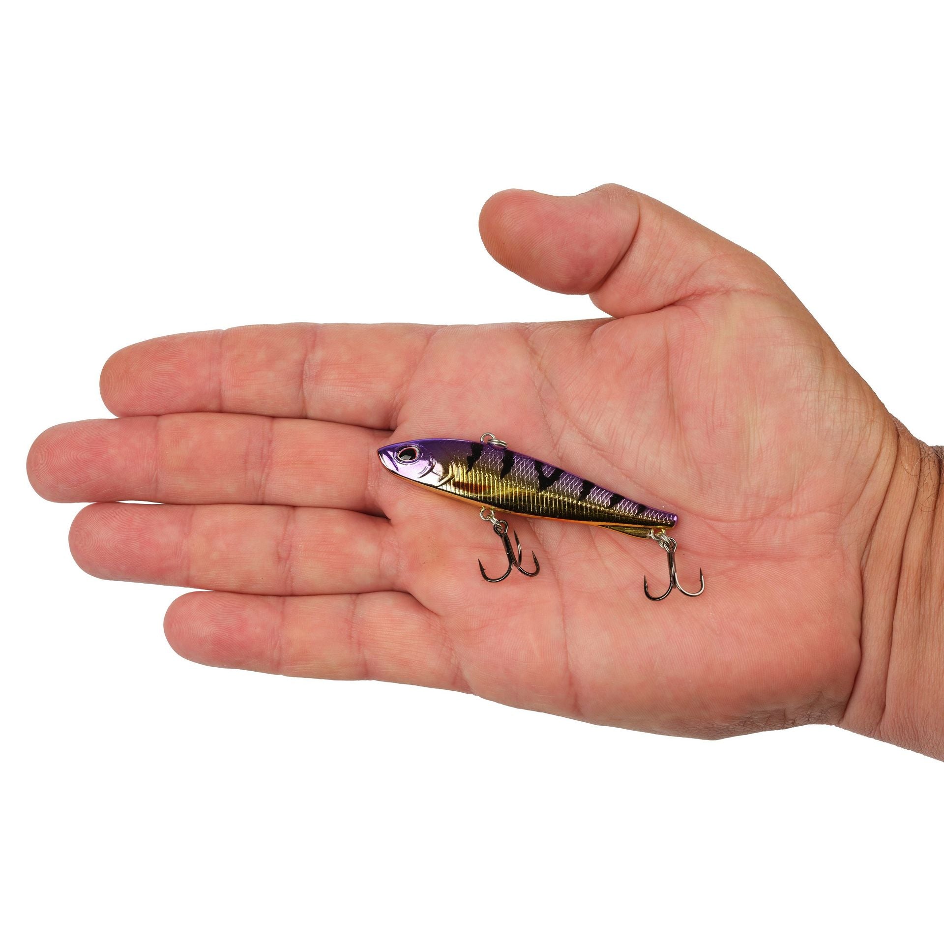 Ripfish