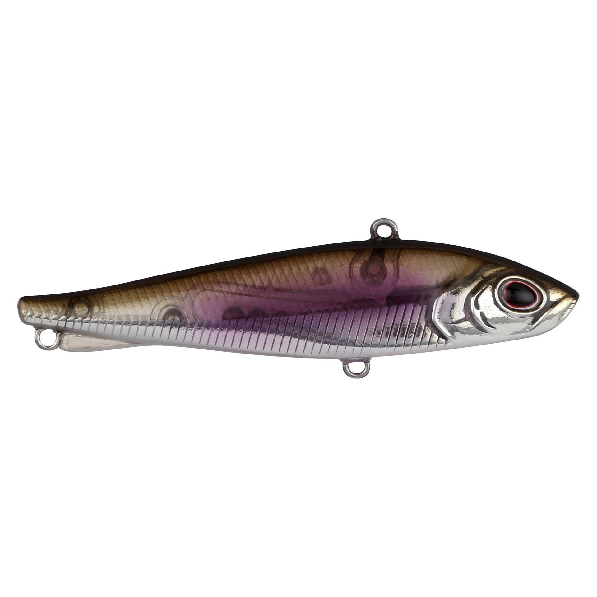 Ripfish