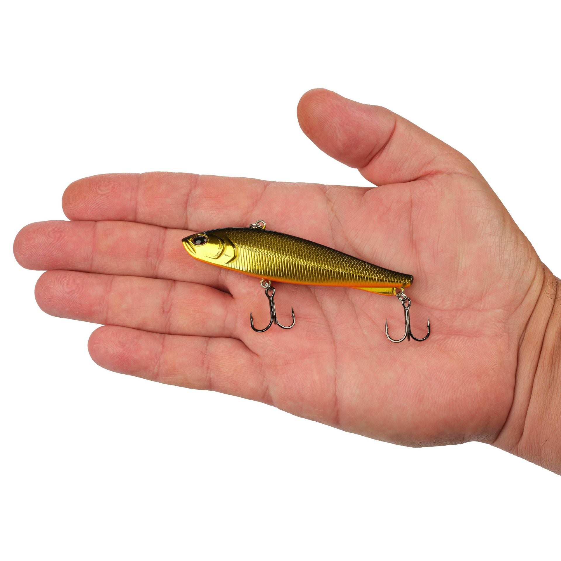 Ripfish