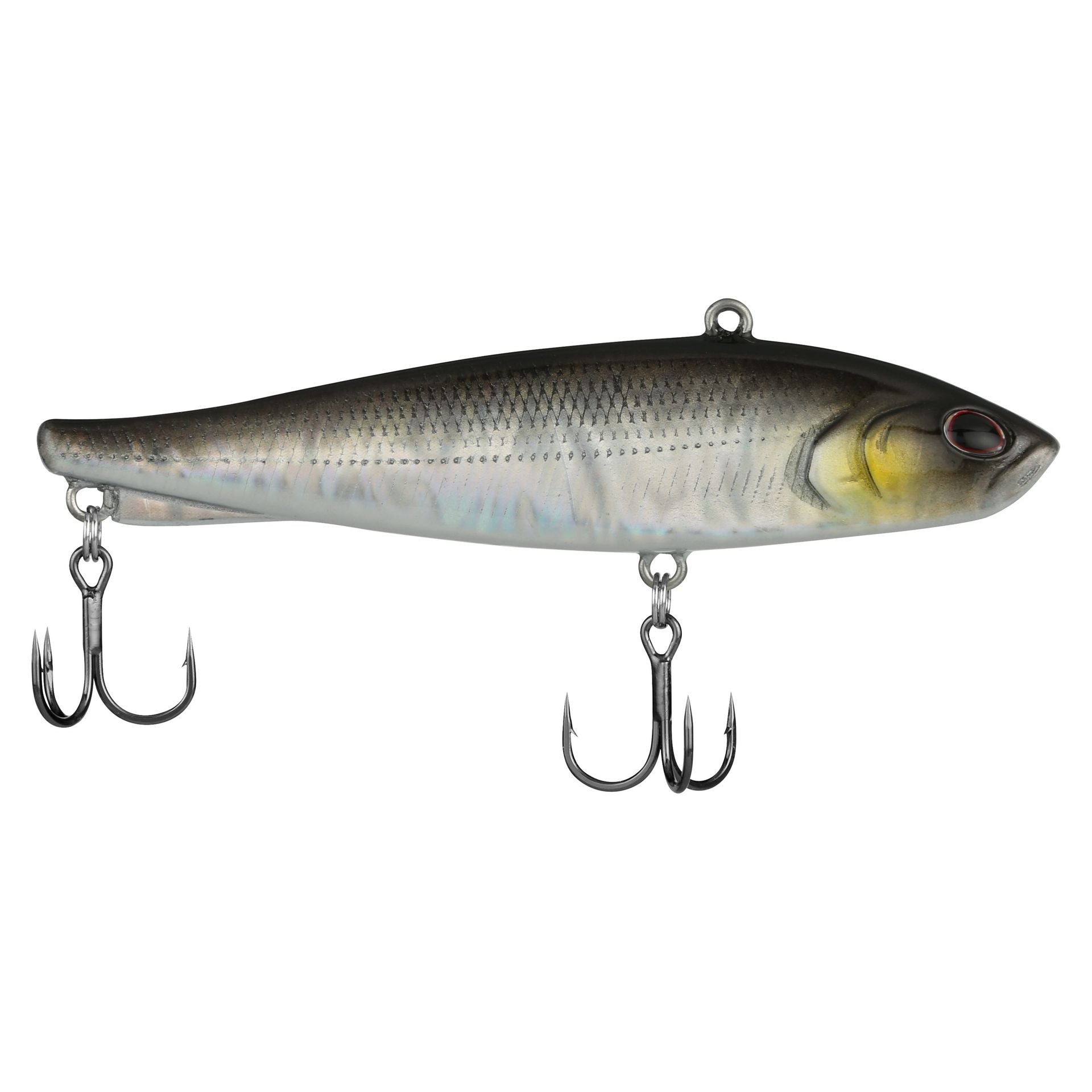 Ripfish