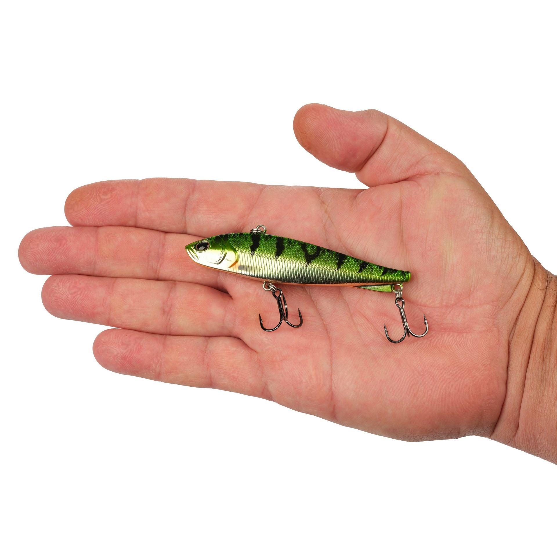Ripfish