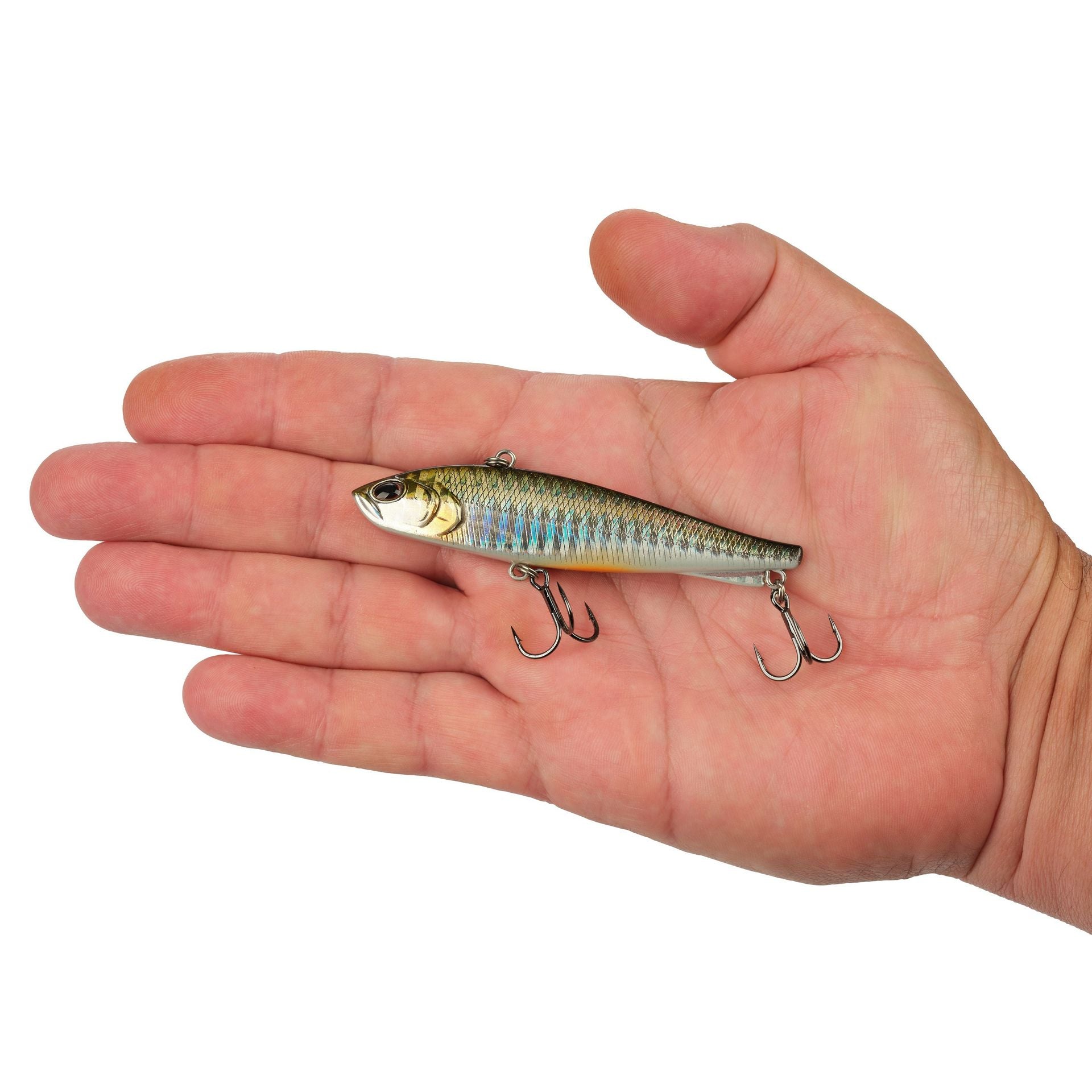 Ripfish