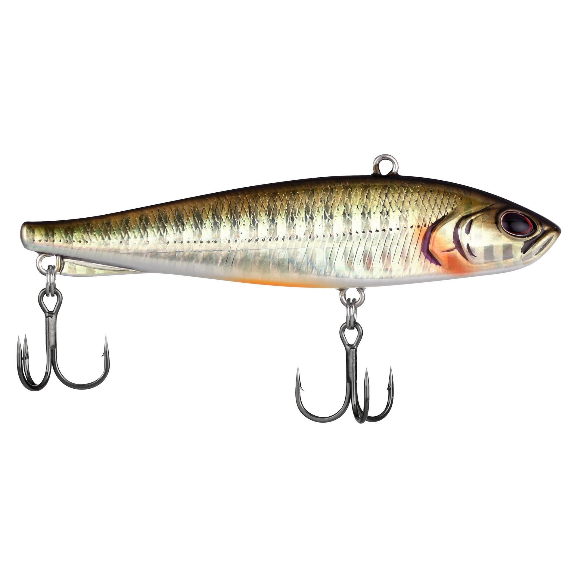 Ripfish