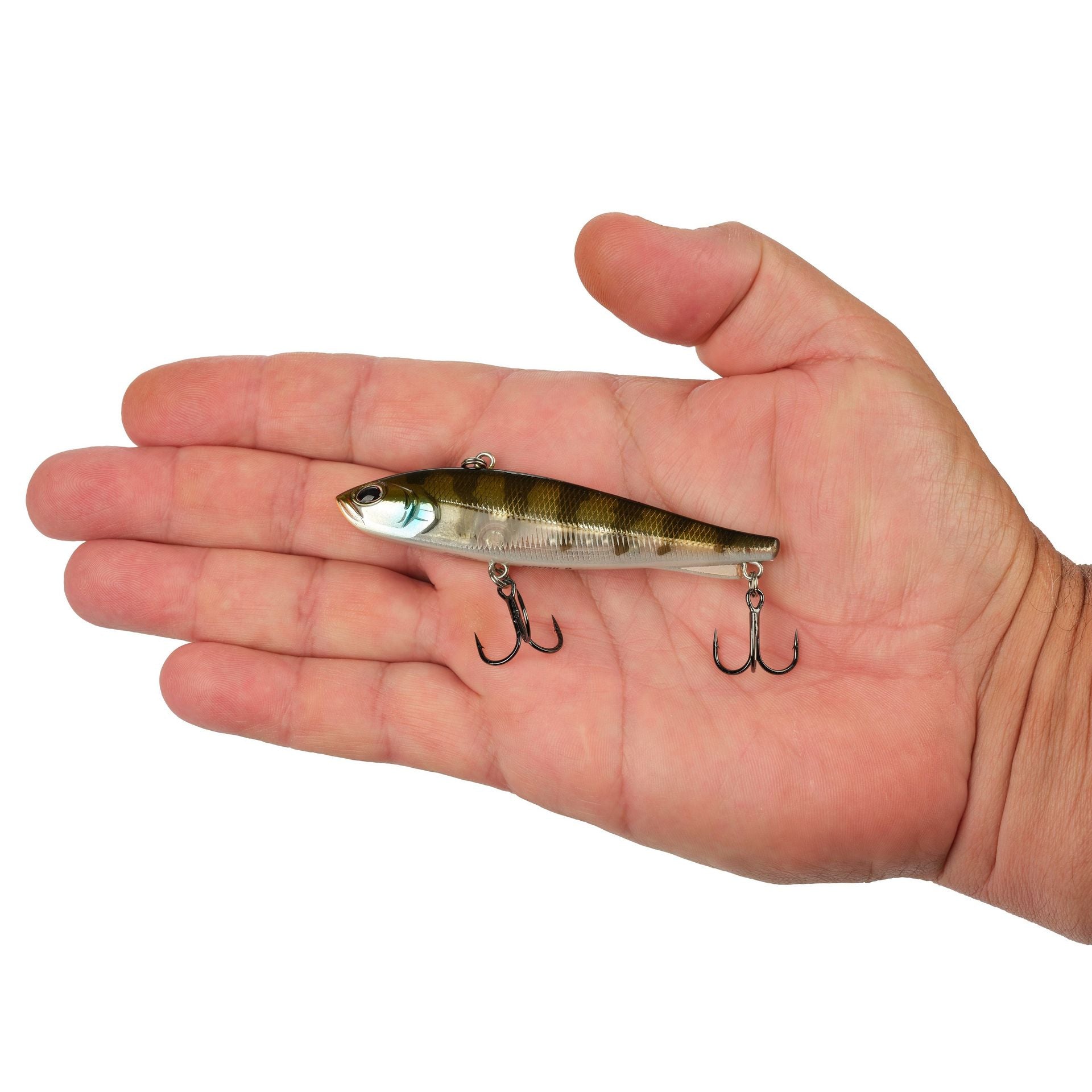 Ripfish