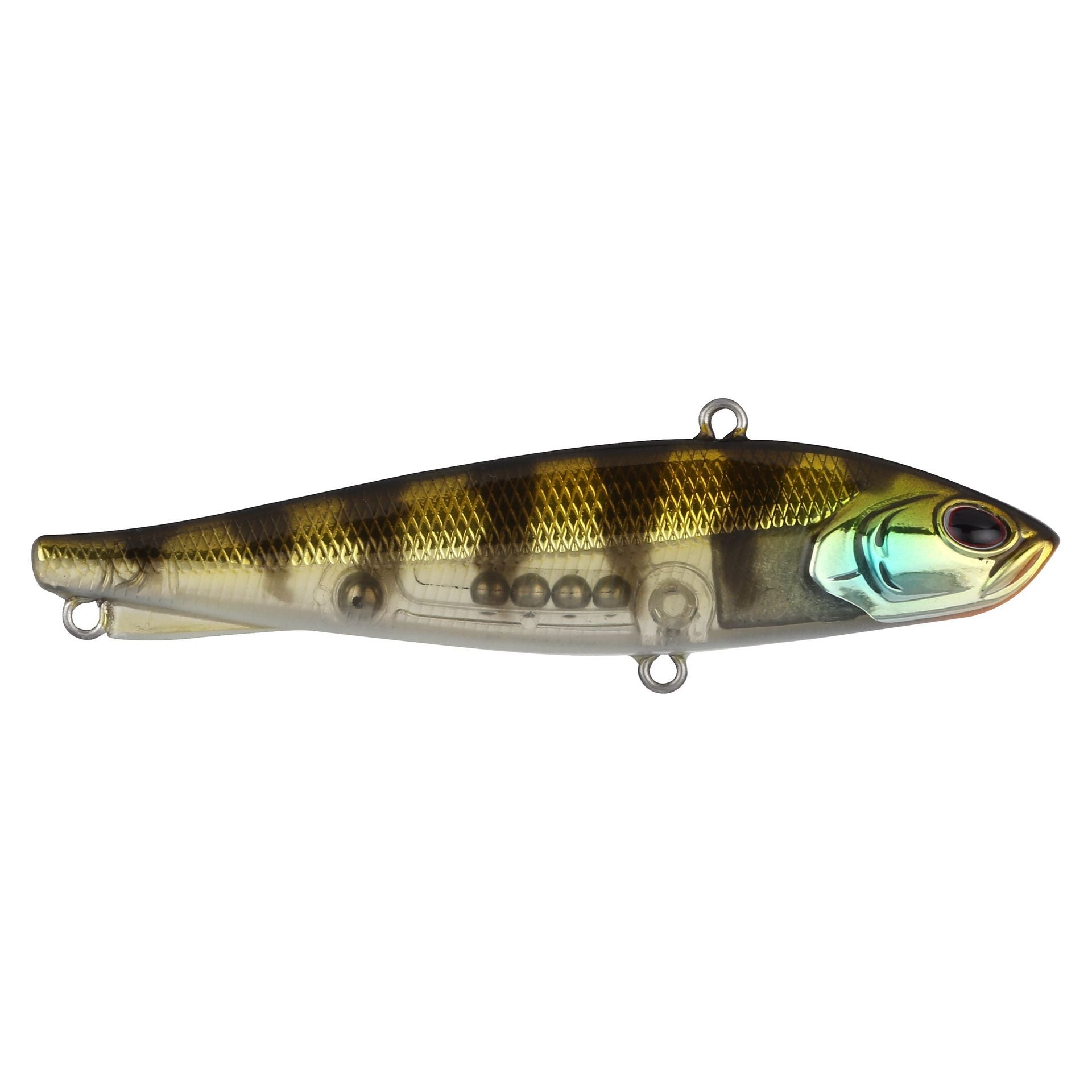 Ripfish