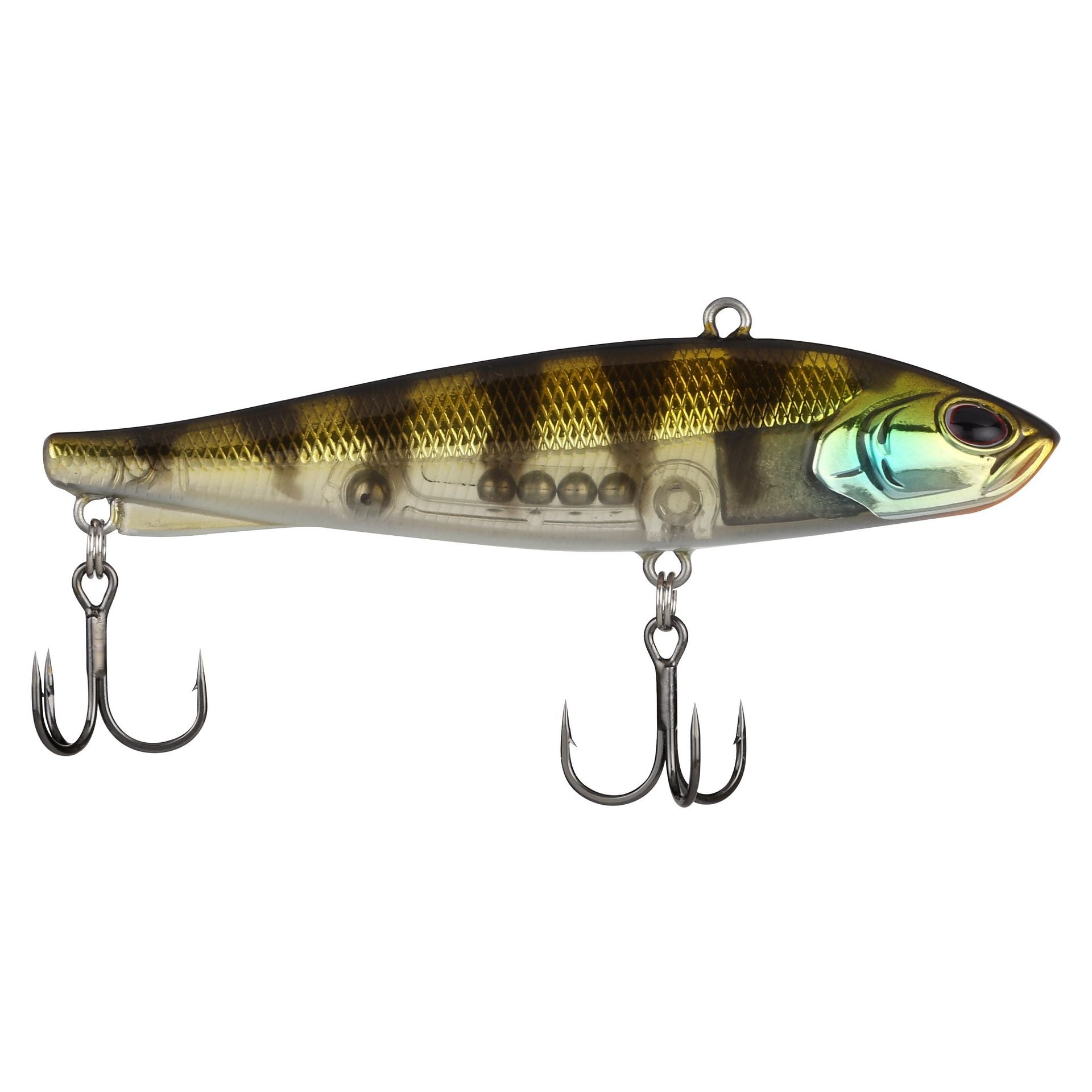 Ripfish