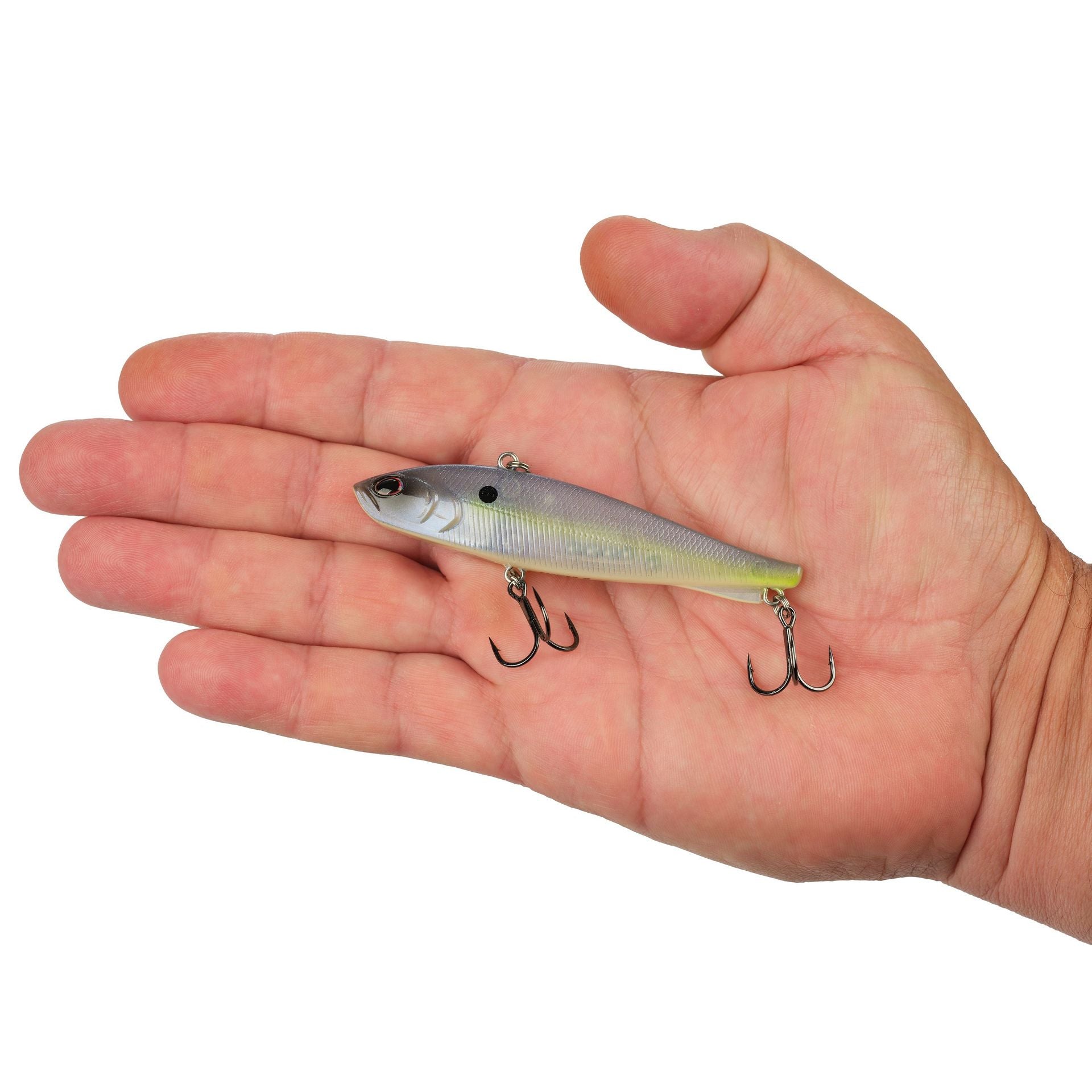 Ripfish