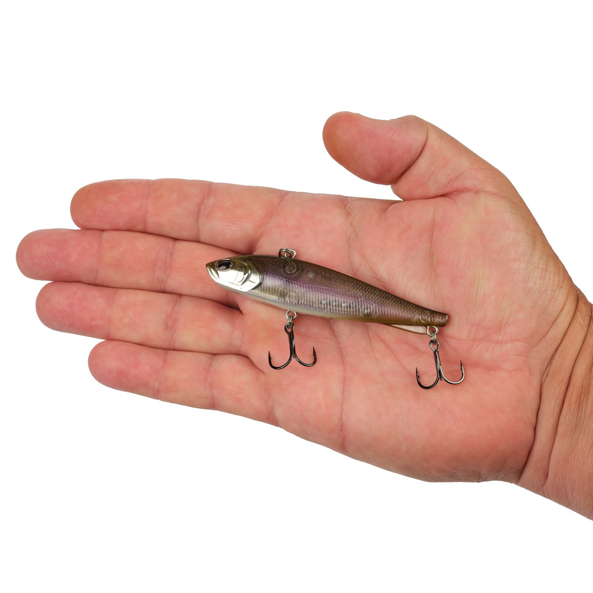 Ripfish