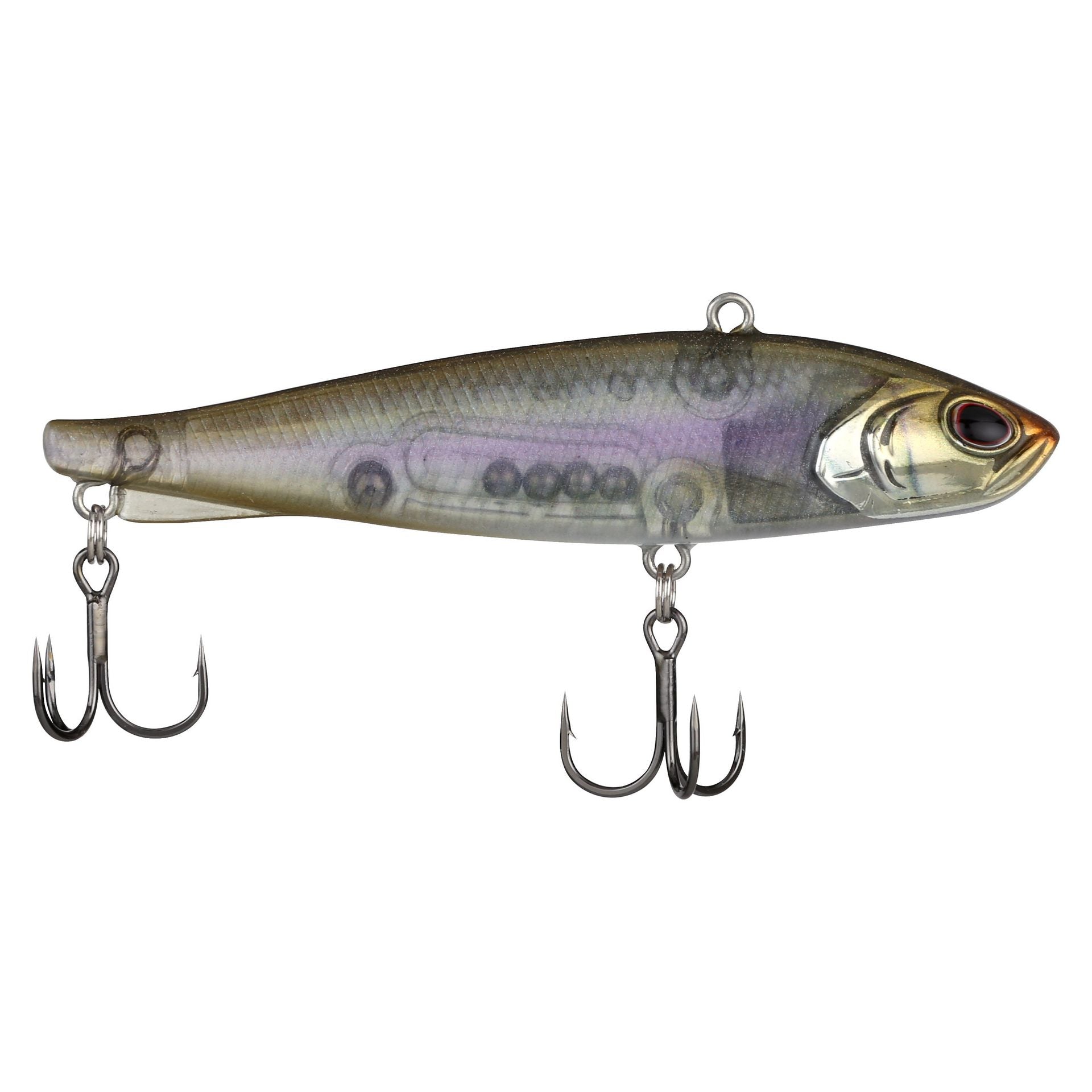 Ripfish