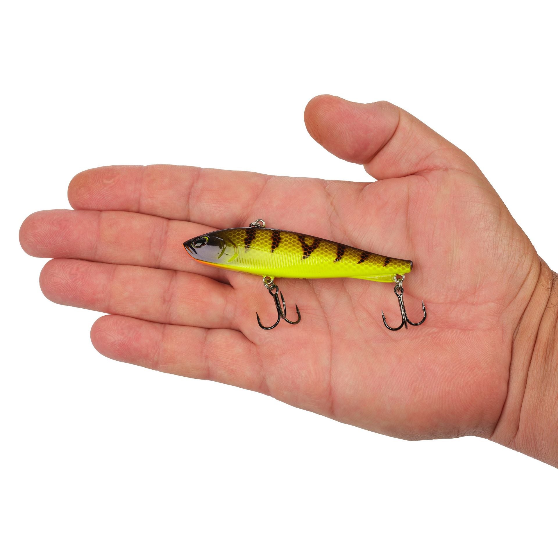 Ripfish