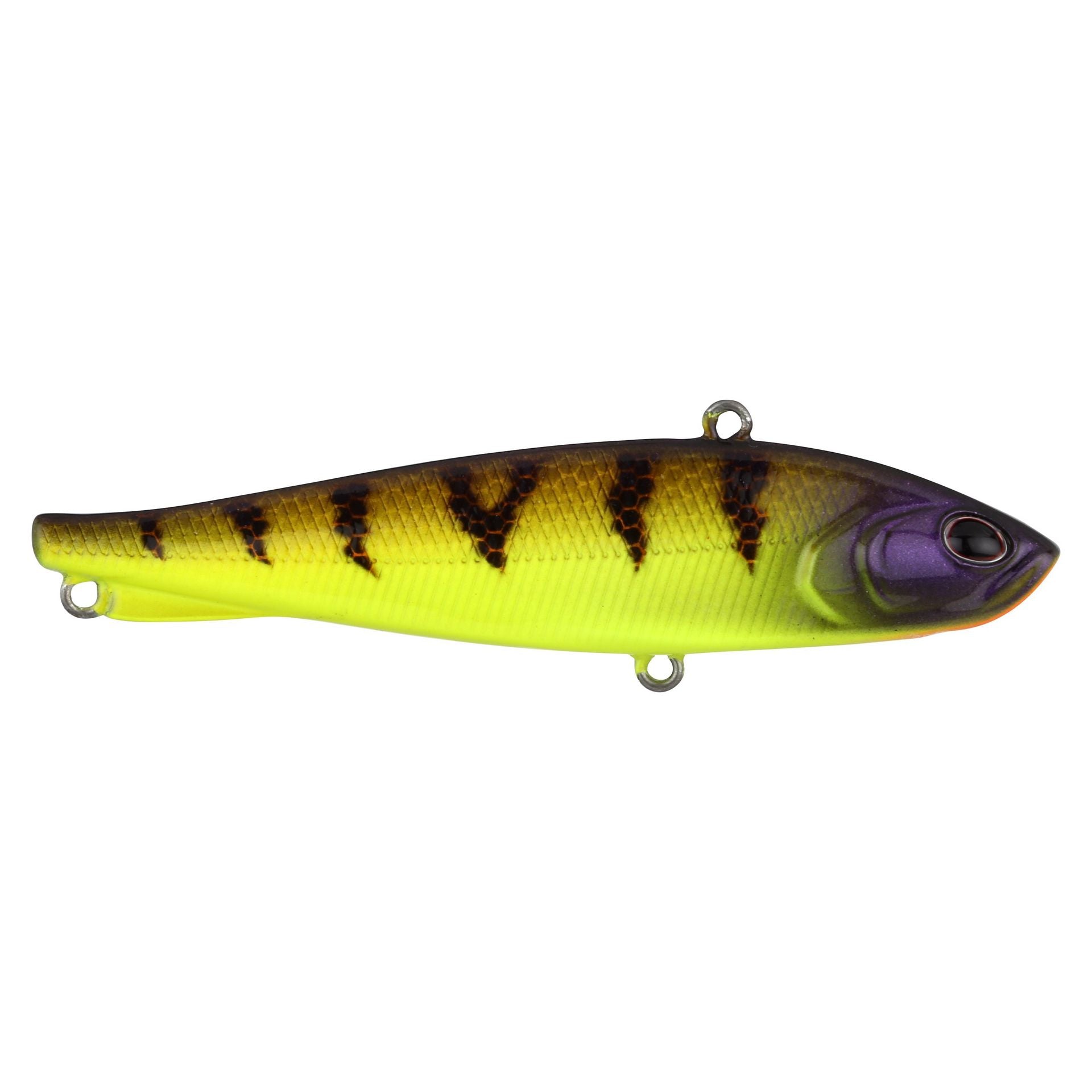 Ripfish