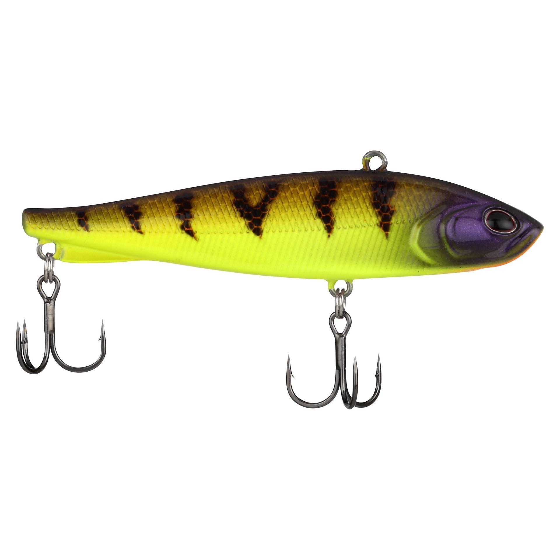 Ripfish