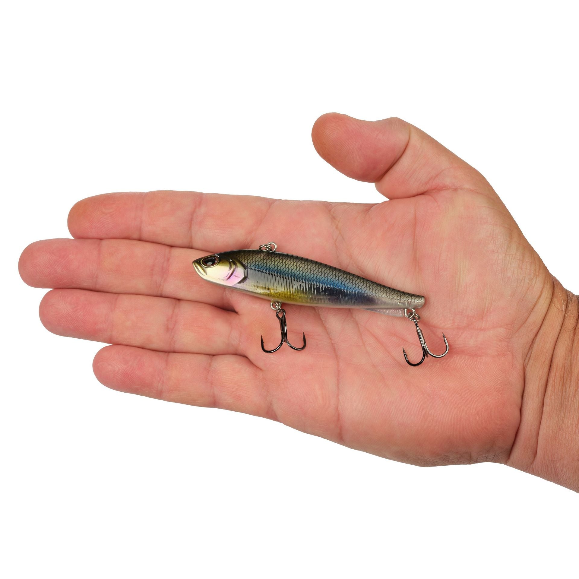 Ripfish