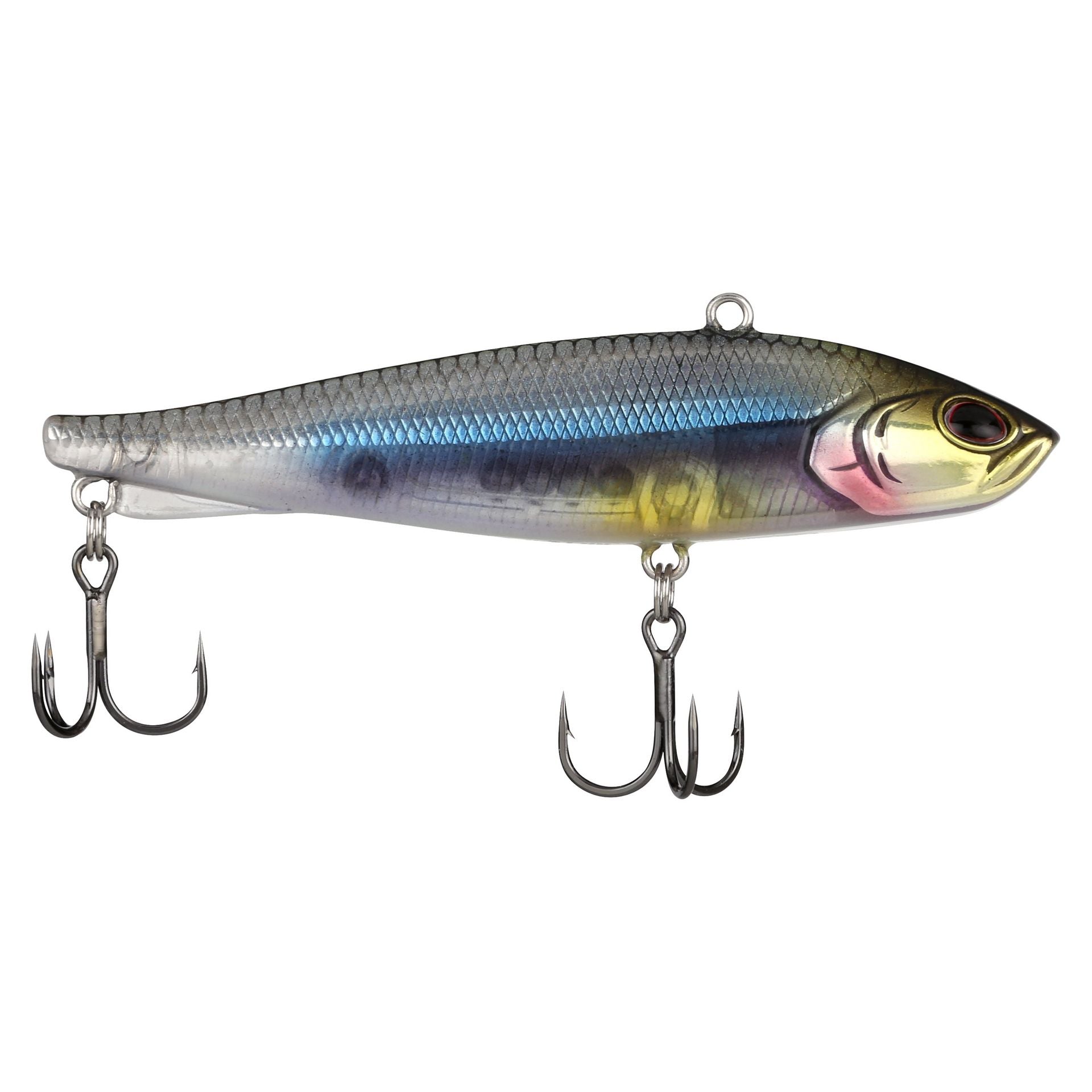 Ripfish