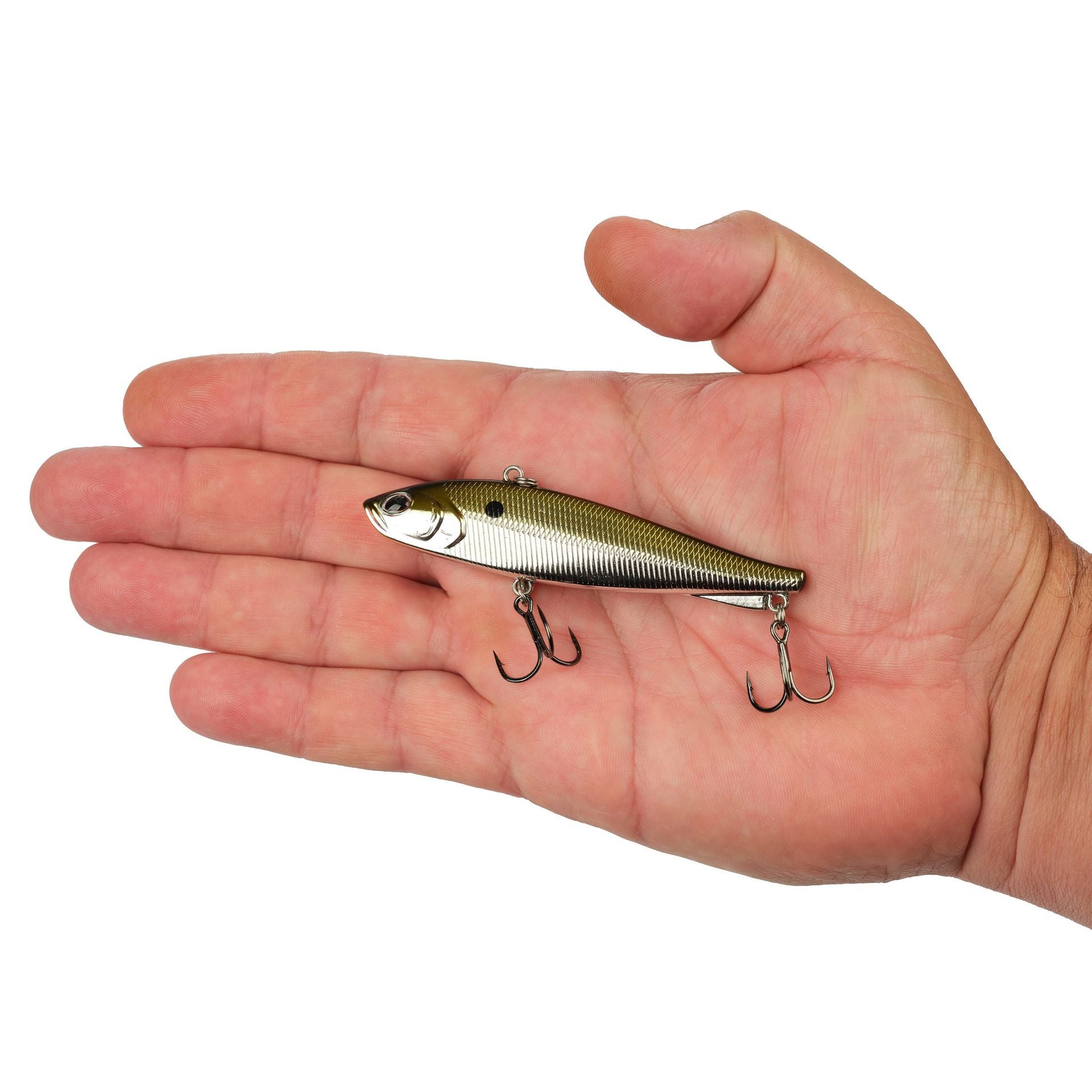 Ripfish