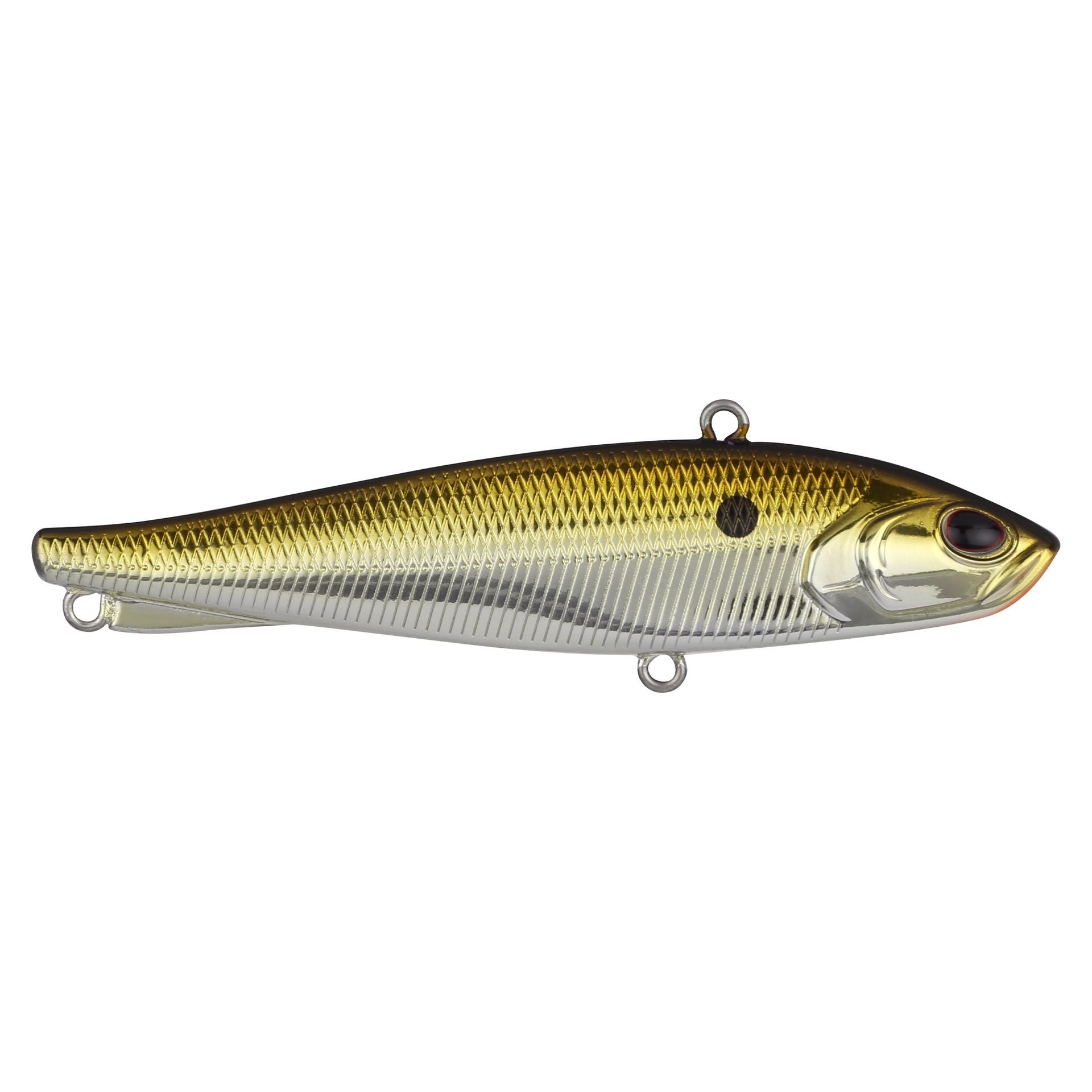 Ripfish