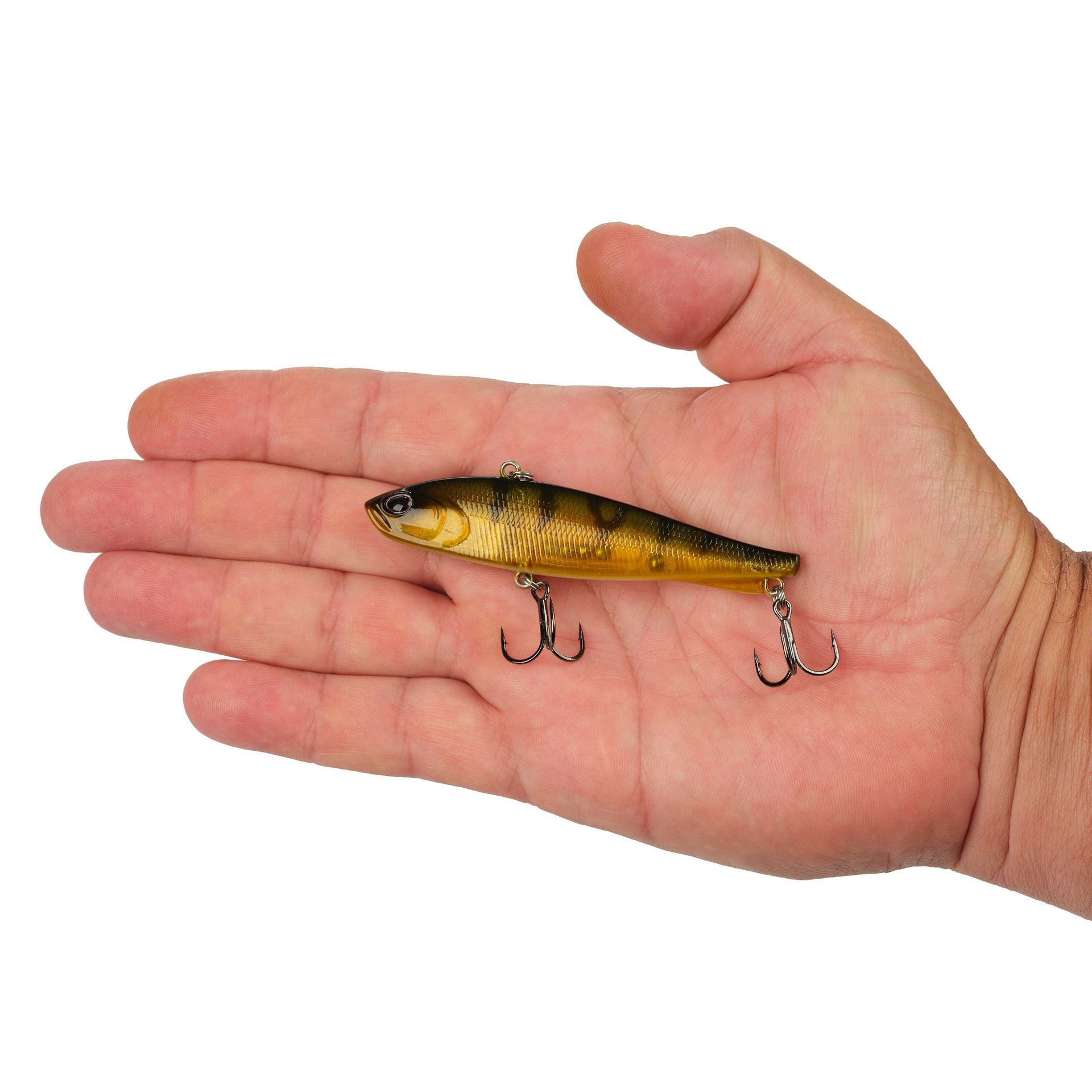 Ripfish
