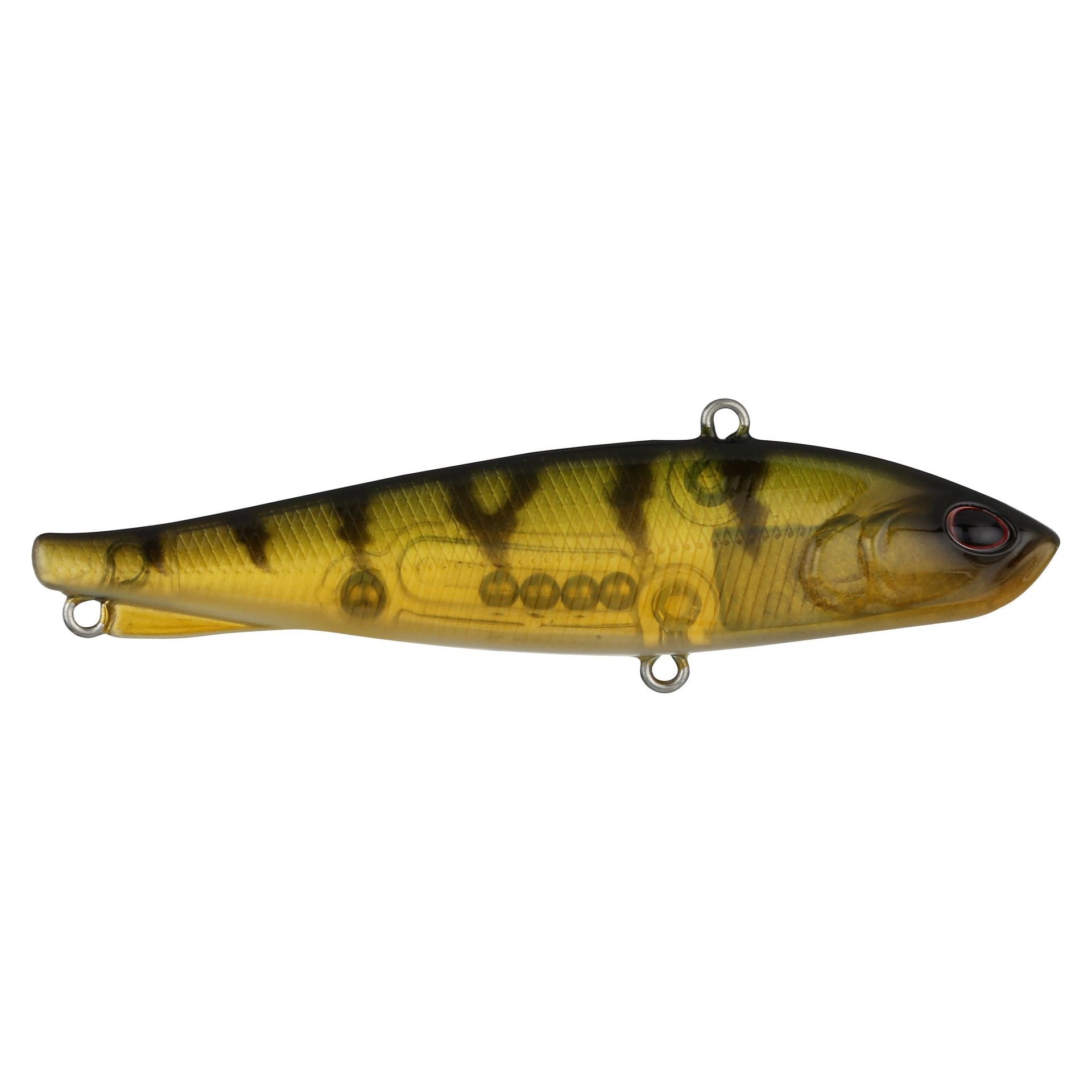 Ripfish
