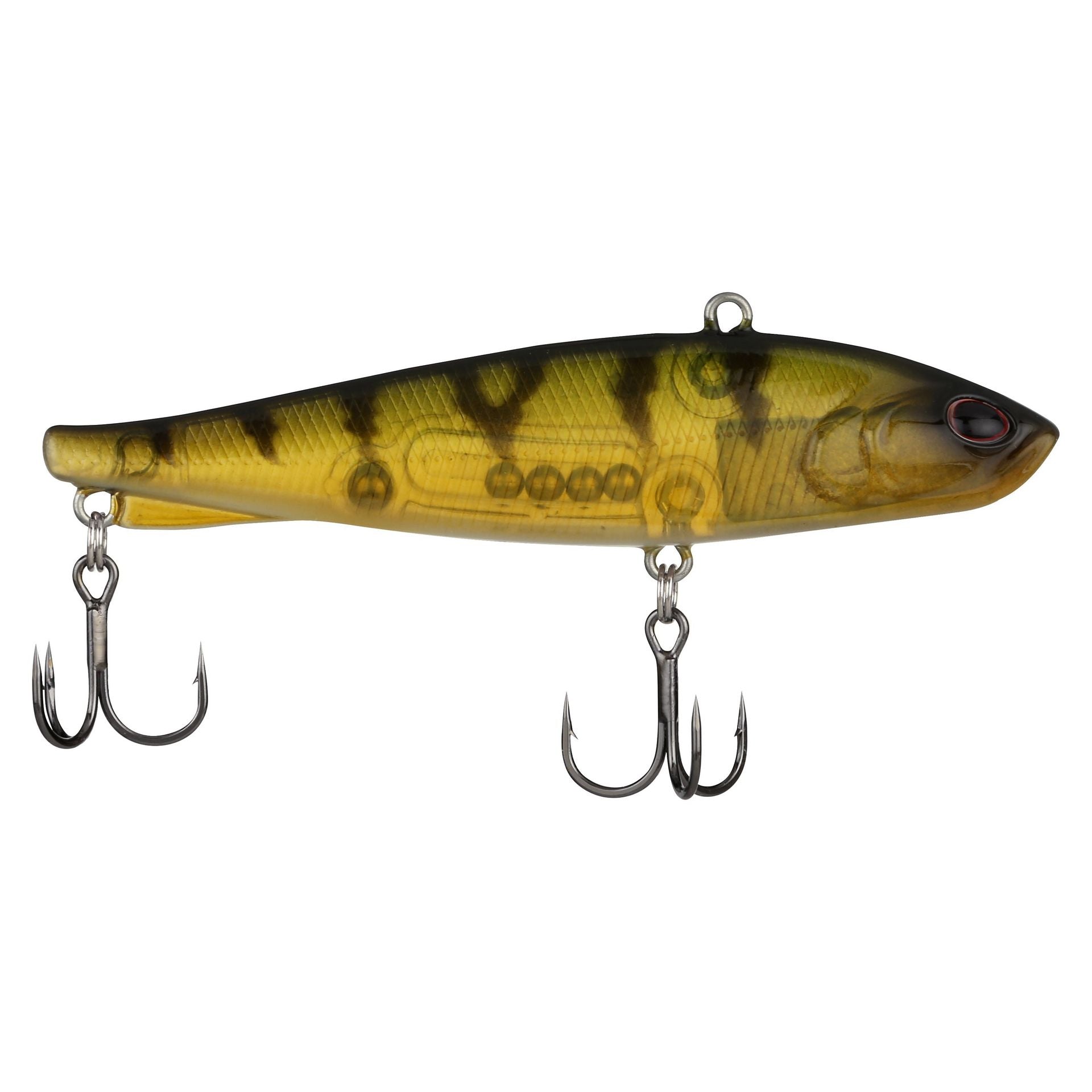 Ripfish