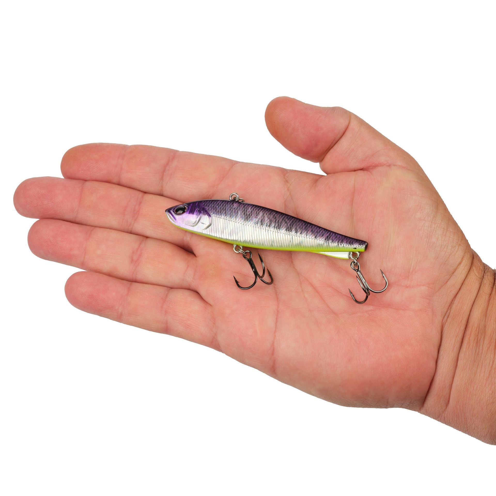Ripfish
