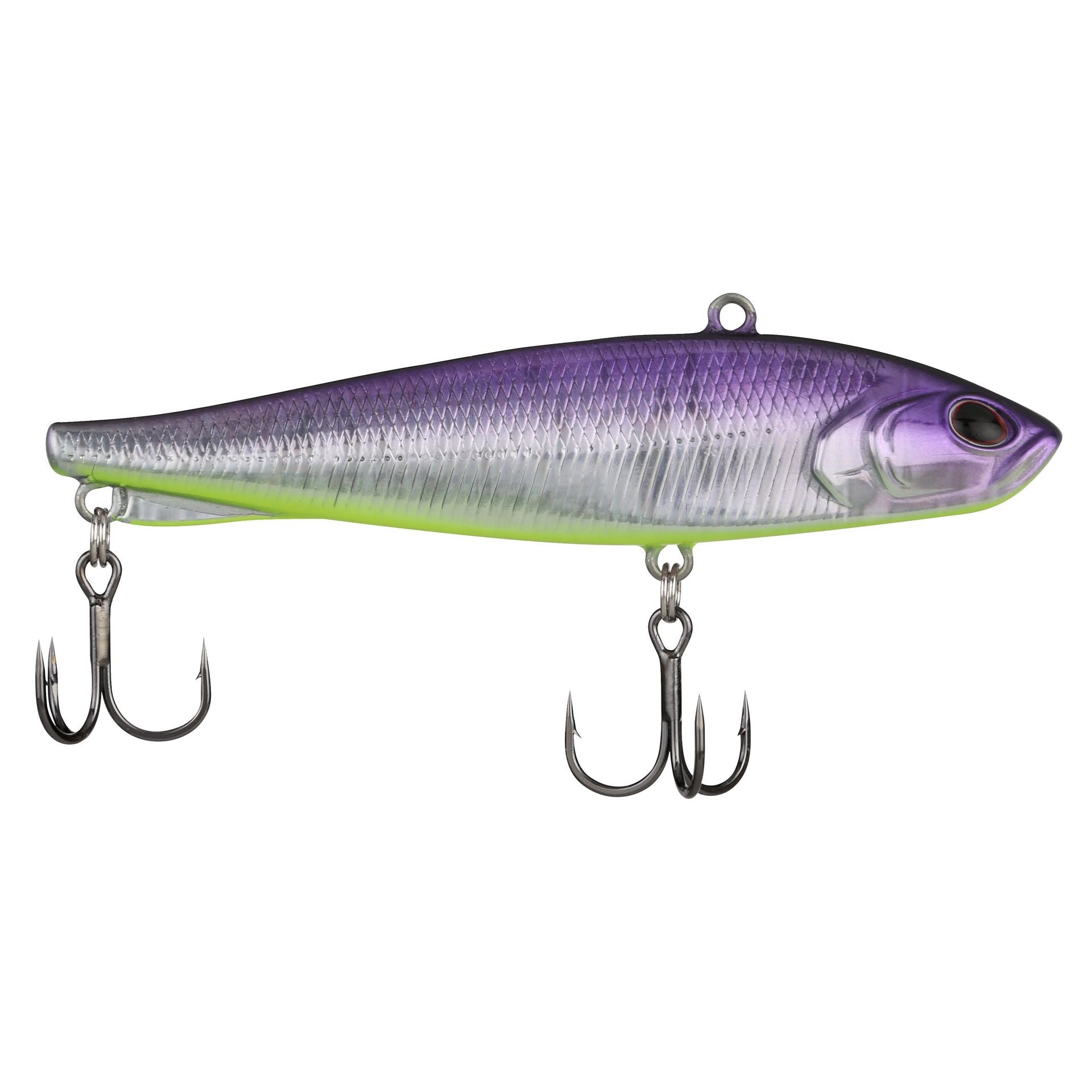 Ripfish